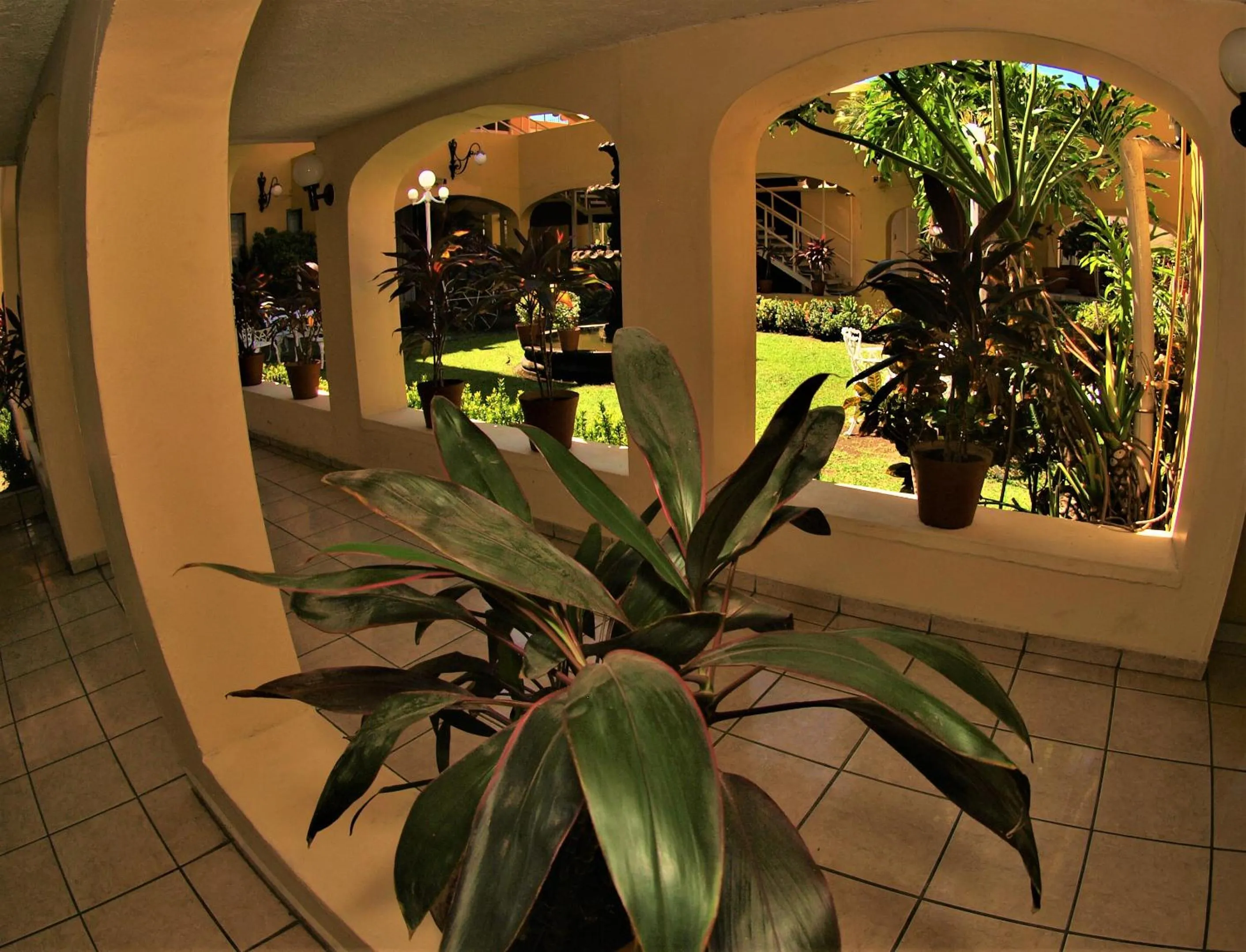 Patio in Hotel America