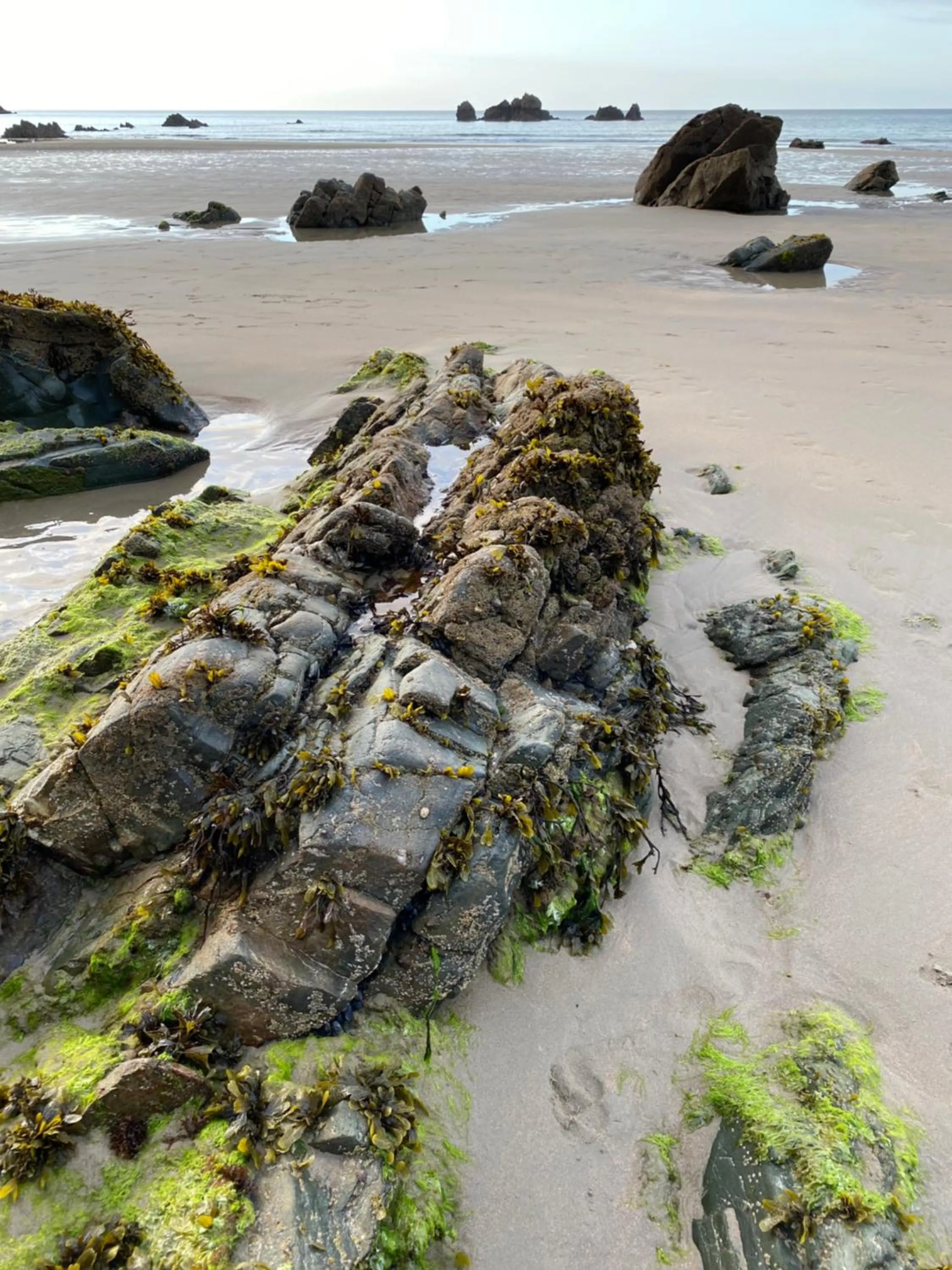 Beach in Hotel Rural Playa de Aguilar