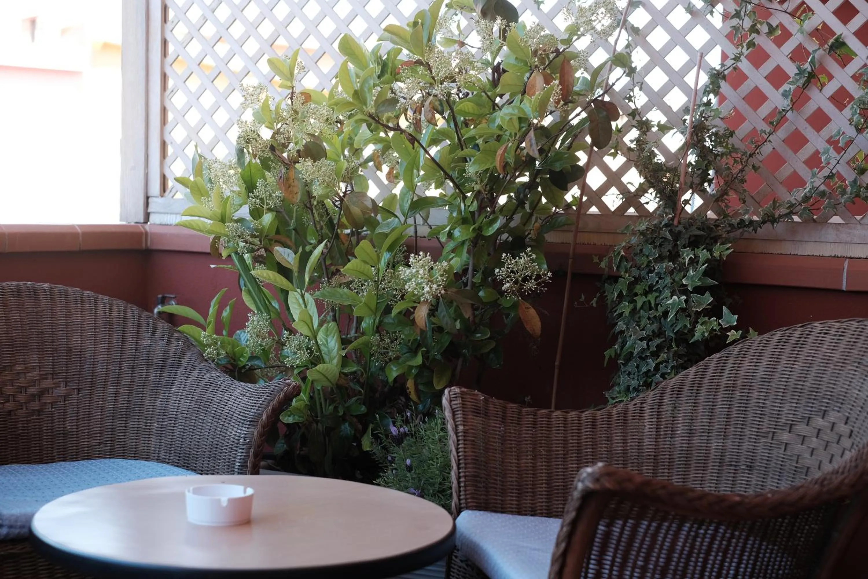 Garden in Locanda degli Artisti