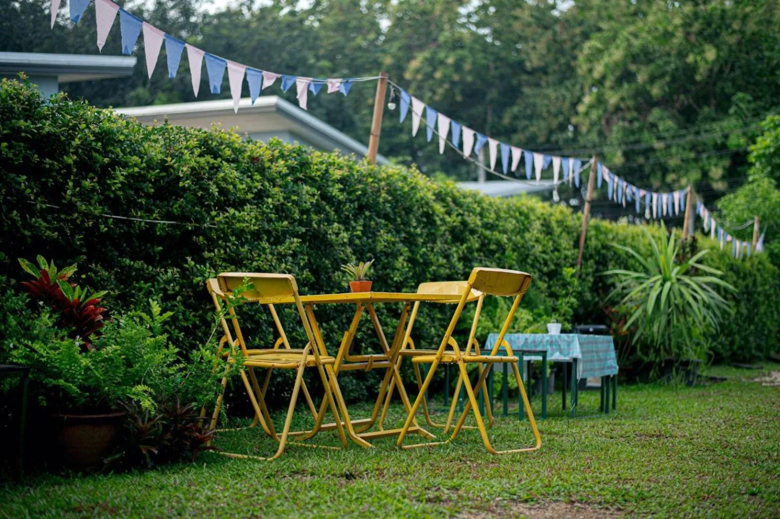 Natural landscape in CoZyHouseChiangrai