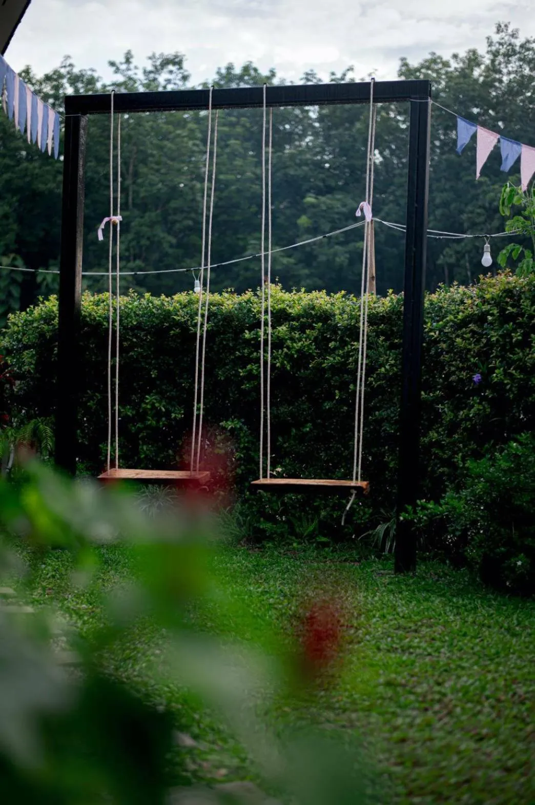 Natural landscape in CoZyHouseChiangrai