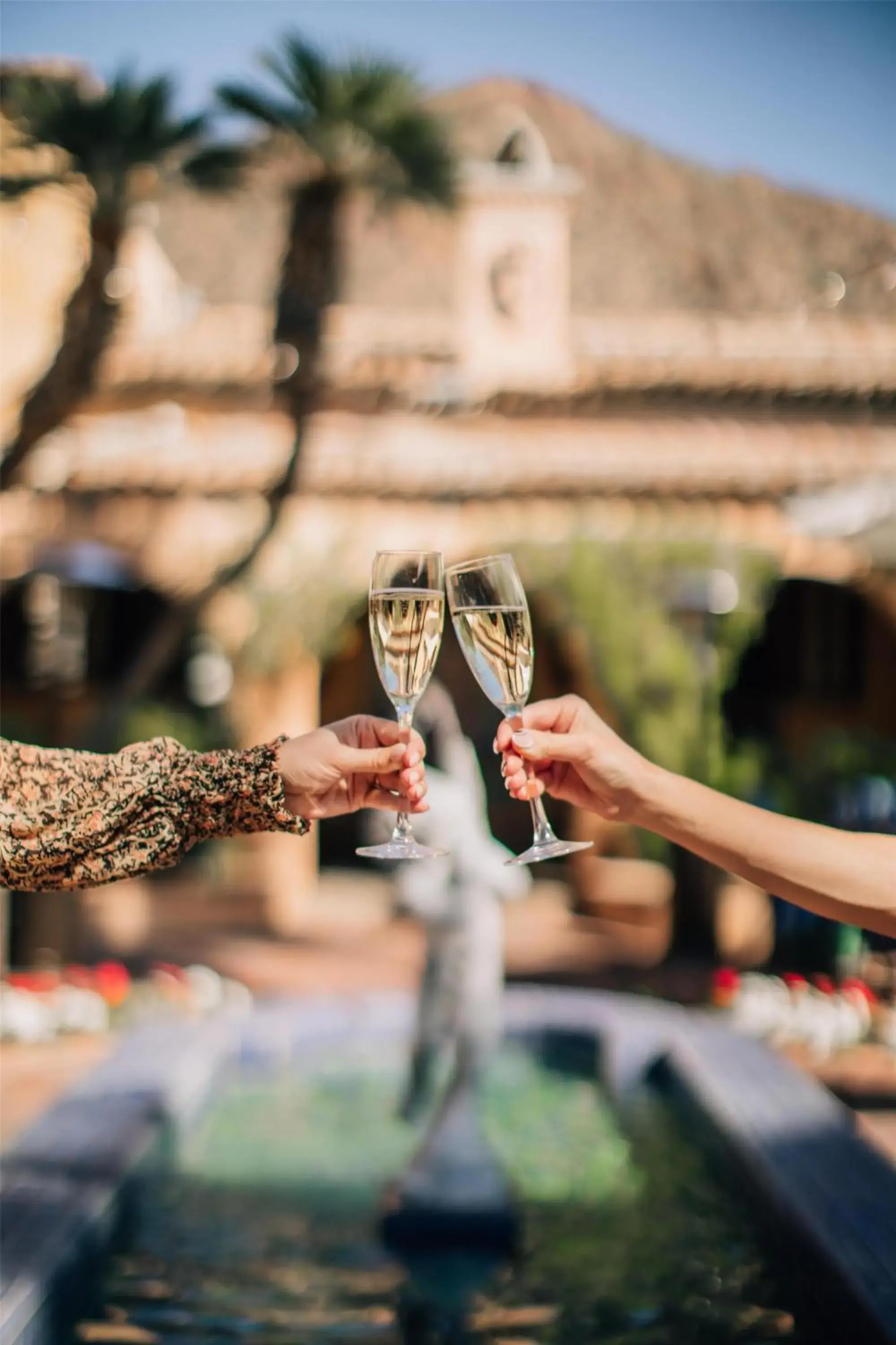 Restaurant/places to eat in Royal Palms Resort and Spa, part of Hyatt Restaurant/places to eat in Royal Palms Resort and Spa, part of Hyatt