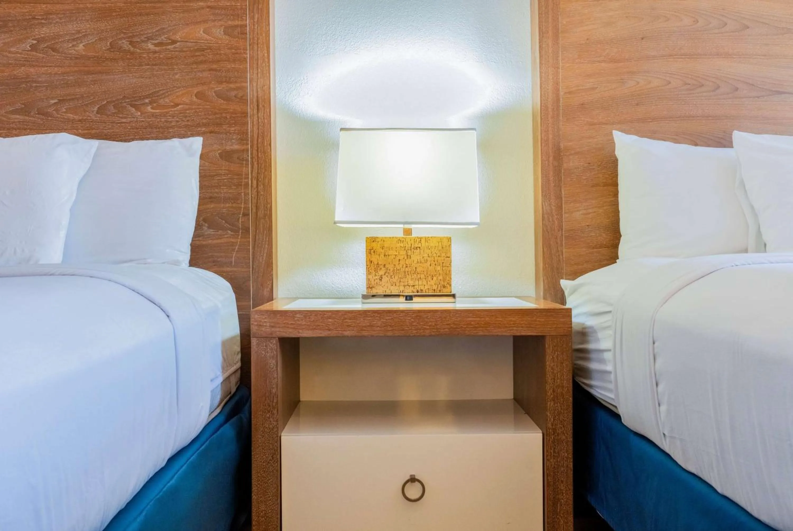 Photo of the whole room, Bed in Ramada by Wyndham Flamingo Water Park