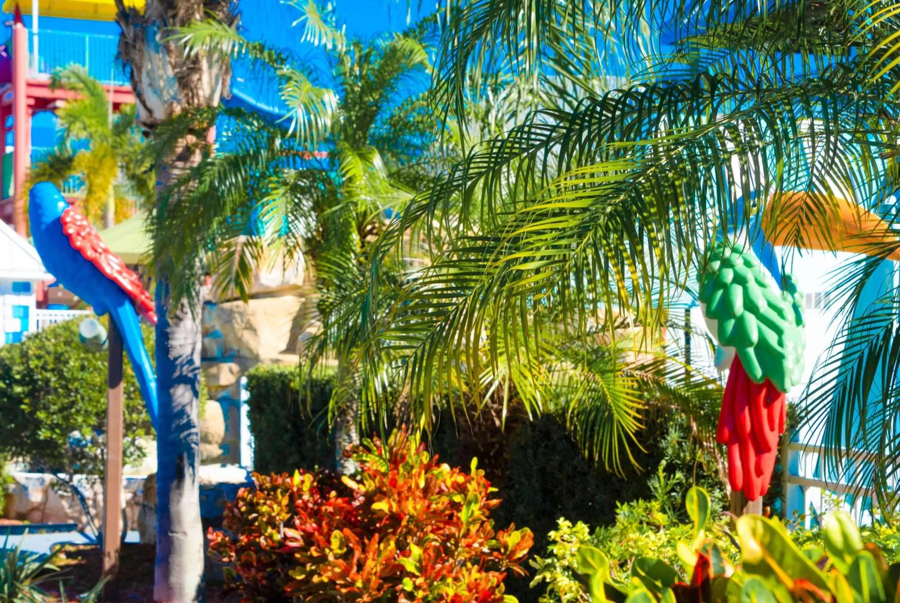 Aqua park in Ramada by Wyndham Flamingo Water Park