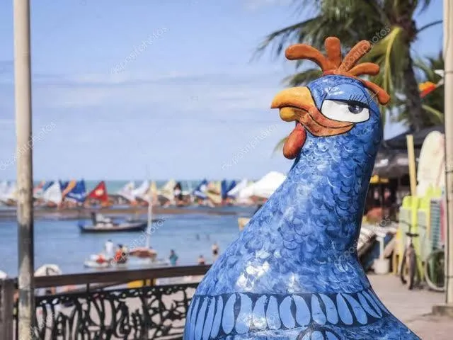 Natural landscape in Flat Porto de Galinhas