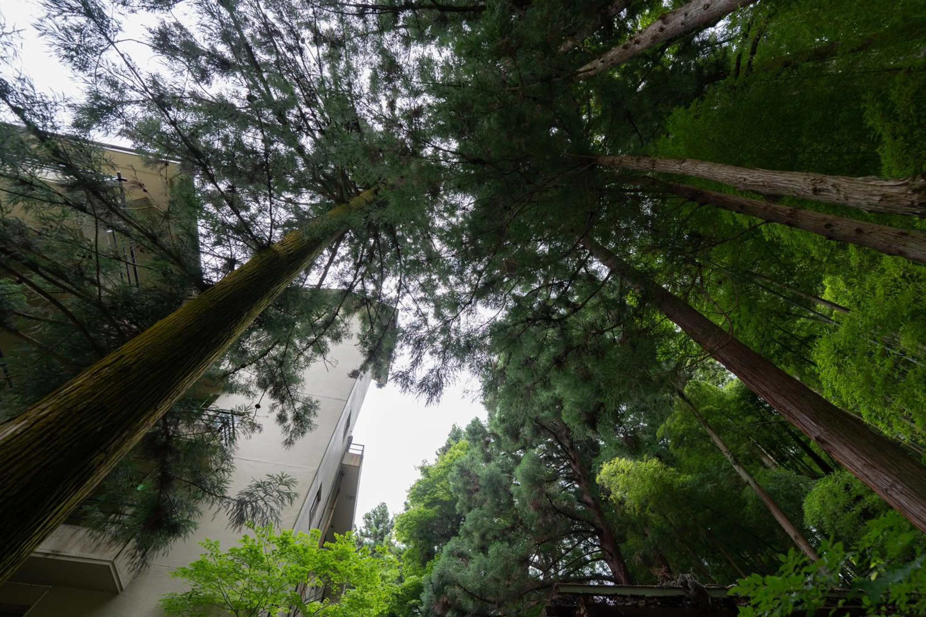 Off site in Sakahijiri Nikko