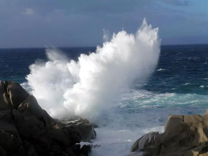 Natural landscape in Hotel Da Cecco
