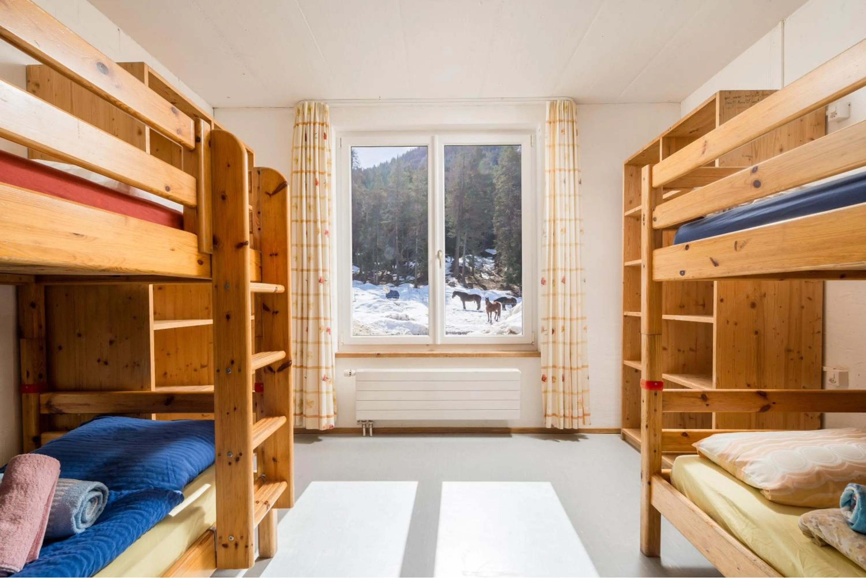 Property building, Bed in Reitstall und Saloon San Jon