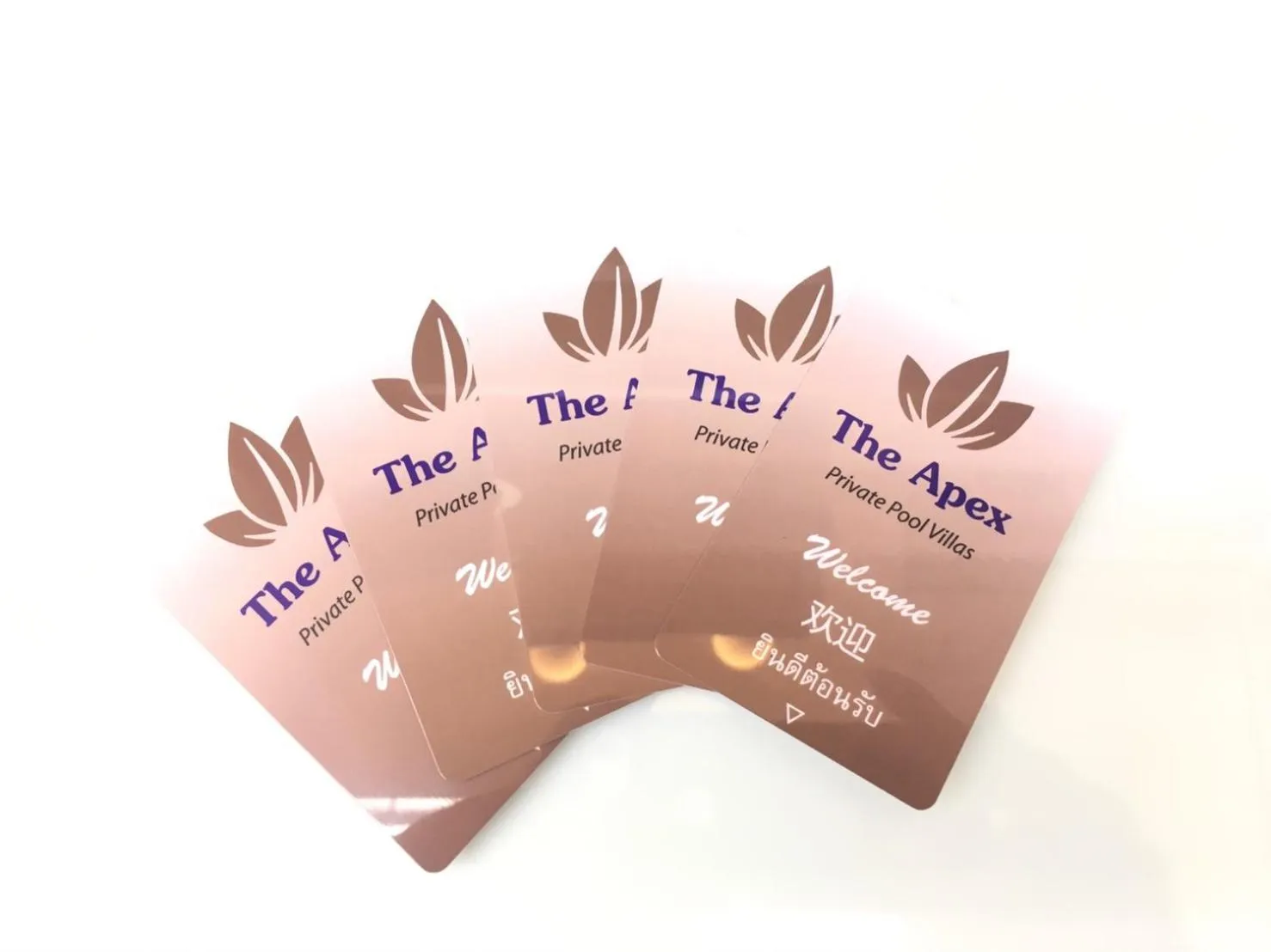 The Apex private pool villa Krabi