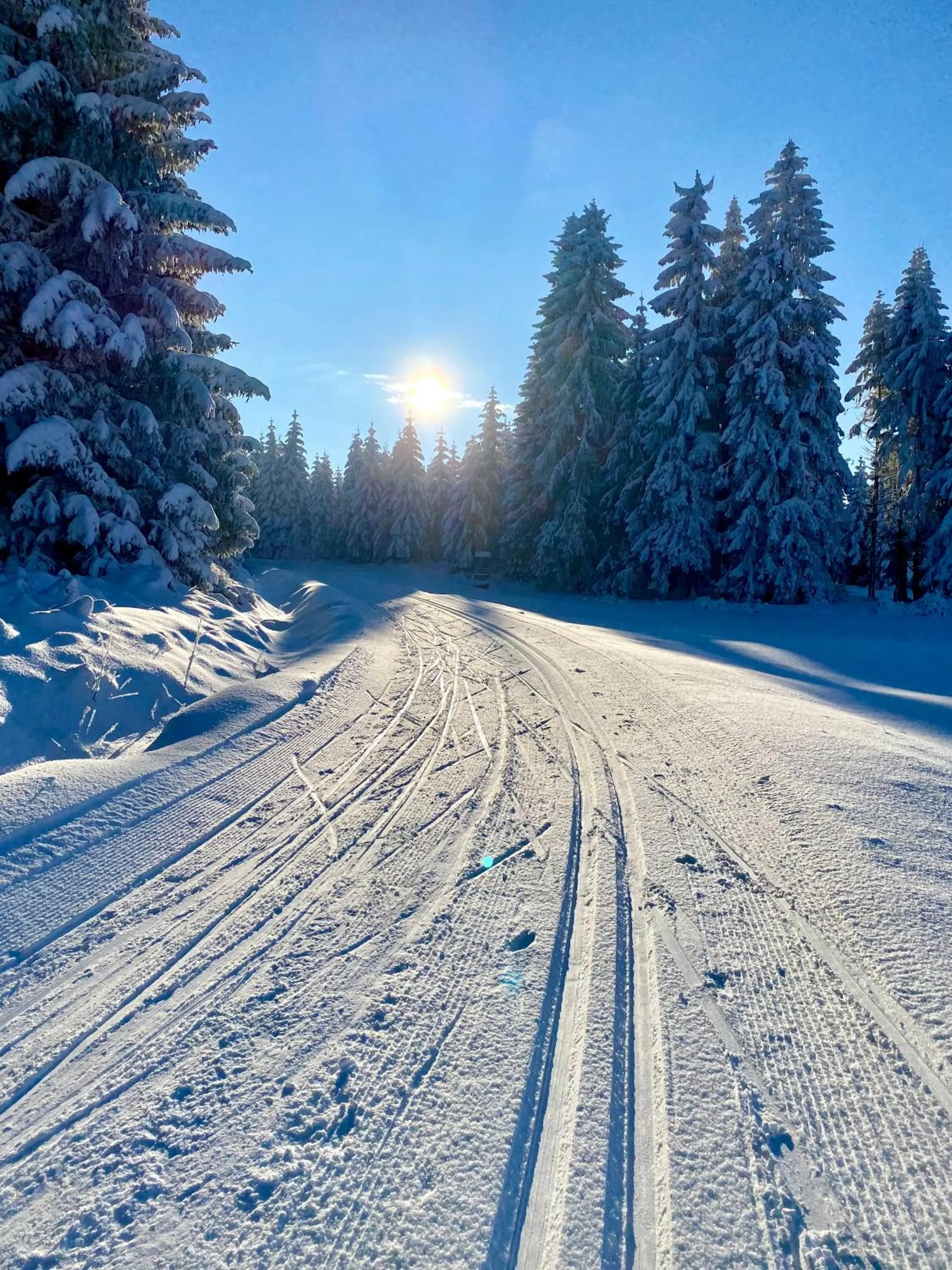 Natural landscape in Vila Jáchymov