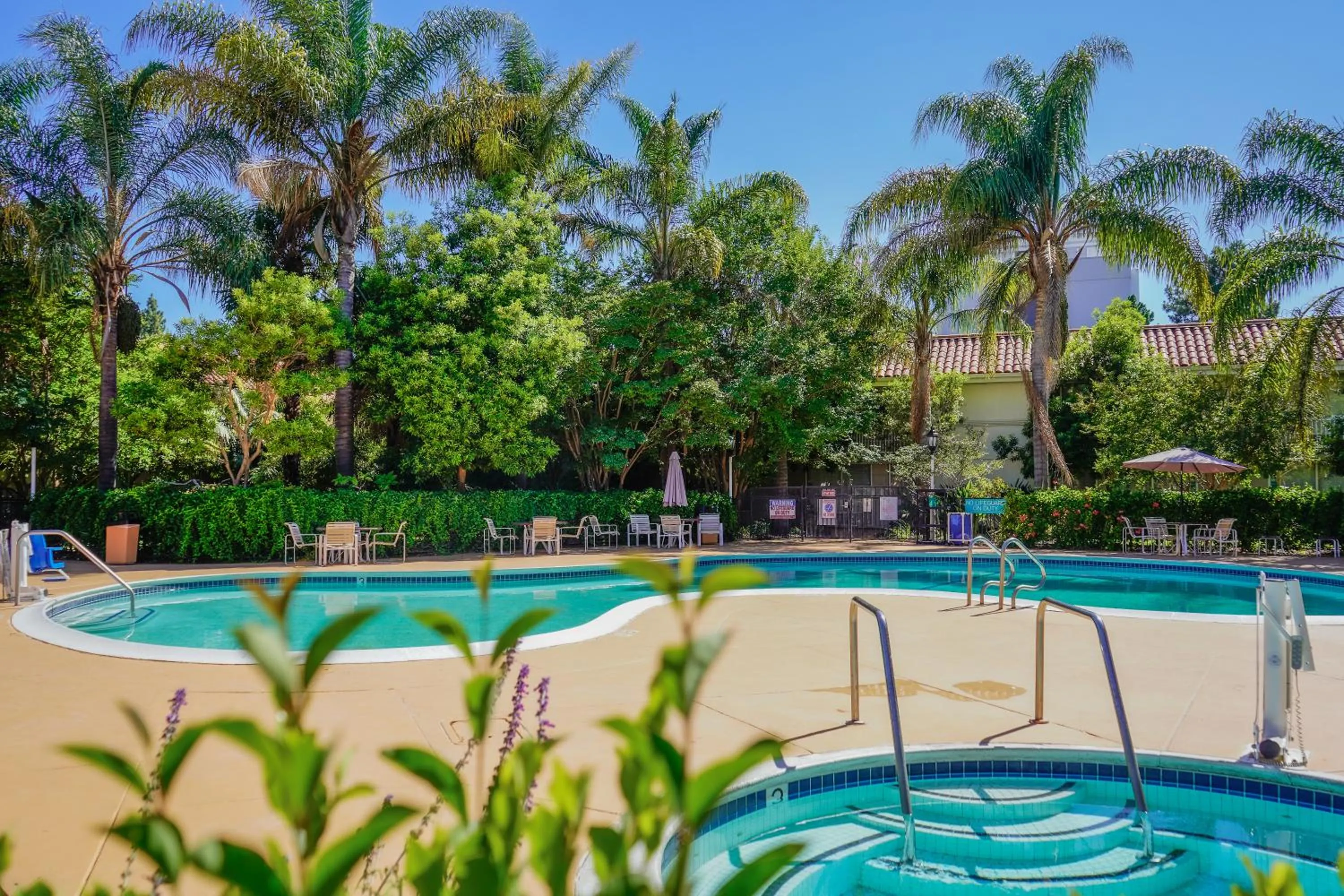 Spring in Uptown Oasis San Jose Airport & Silicon Valley