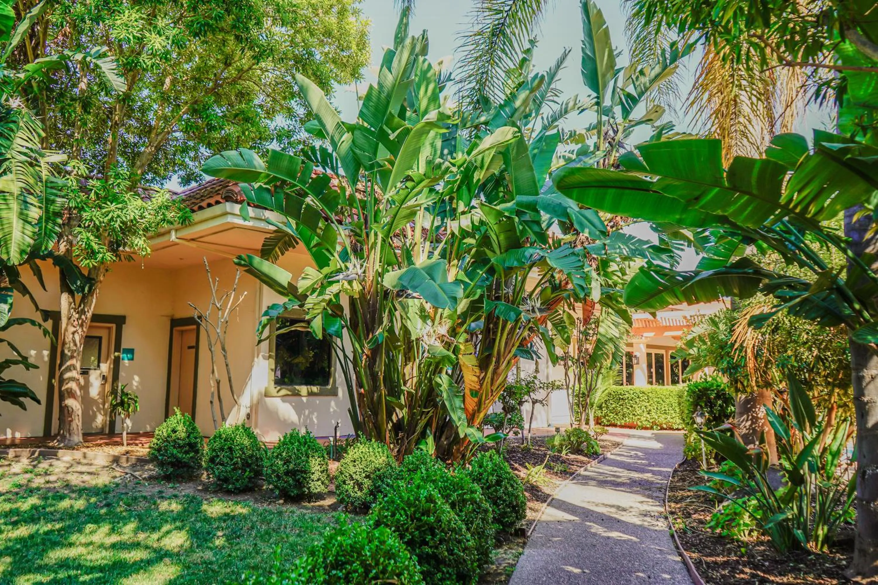 Property building in Uptown Oasis San Jose Airport & Silicon Valley