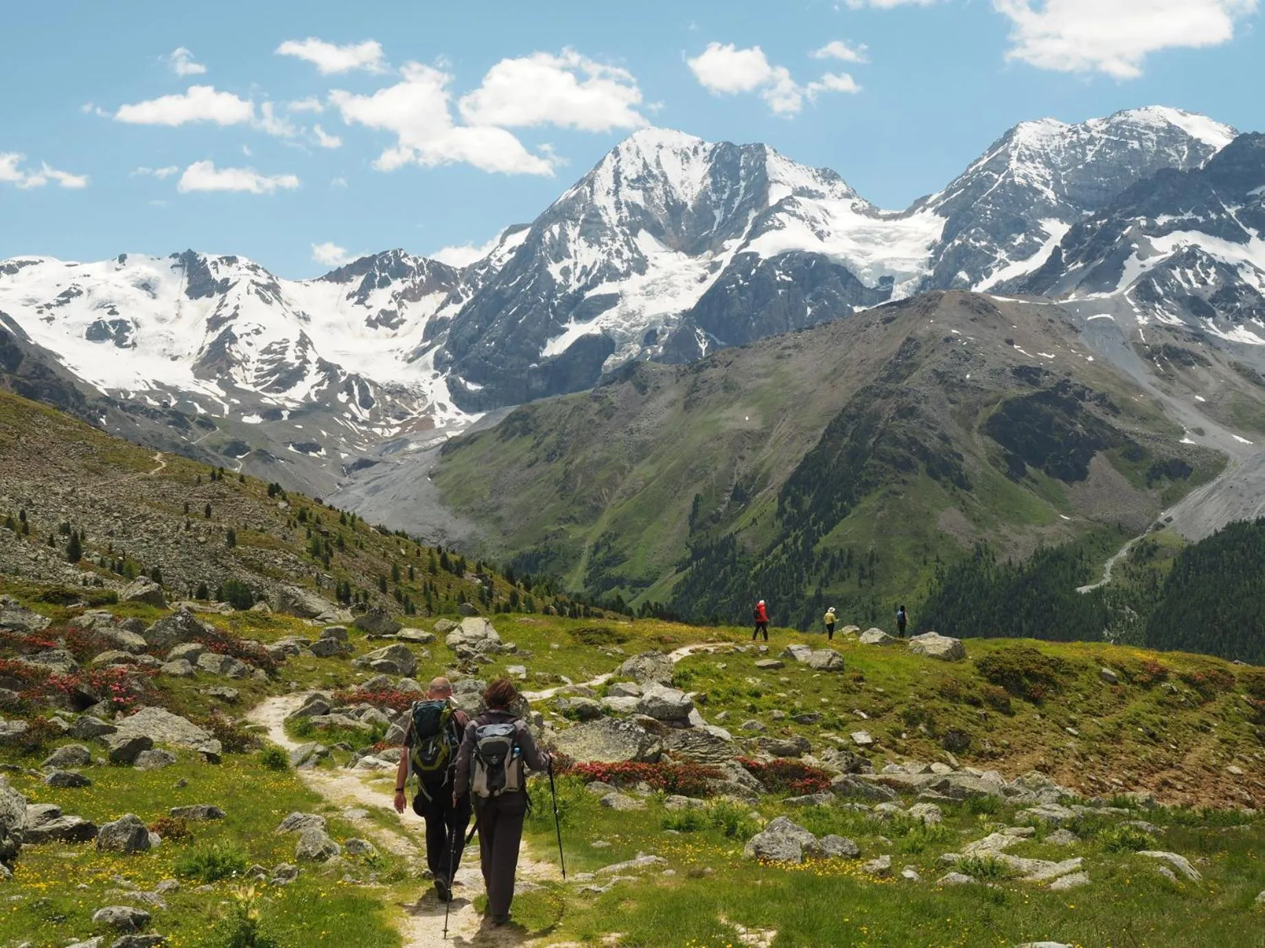 Natural landscape in Almhotel Glieshof