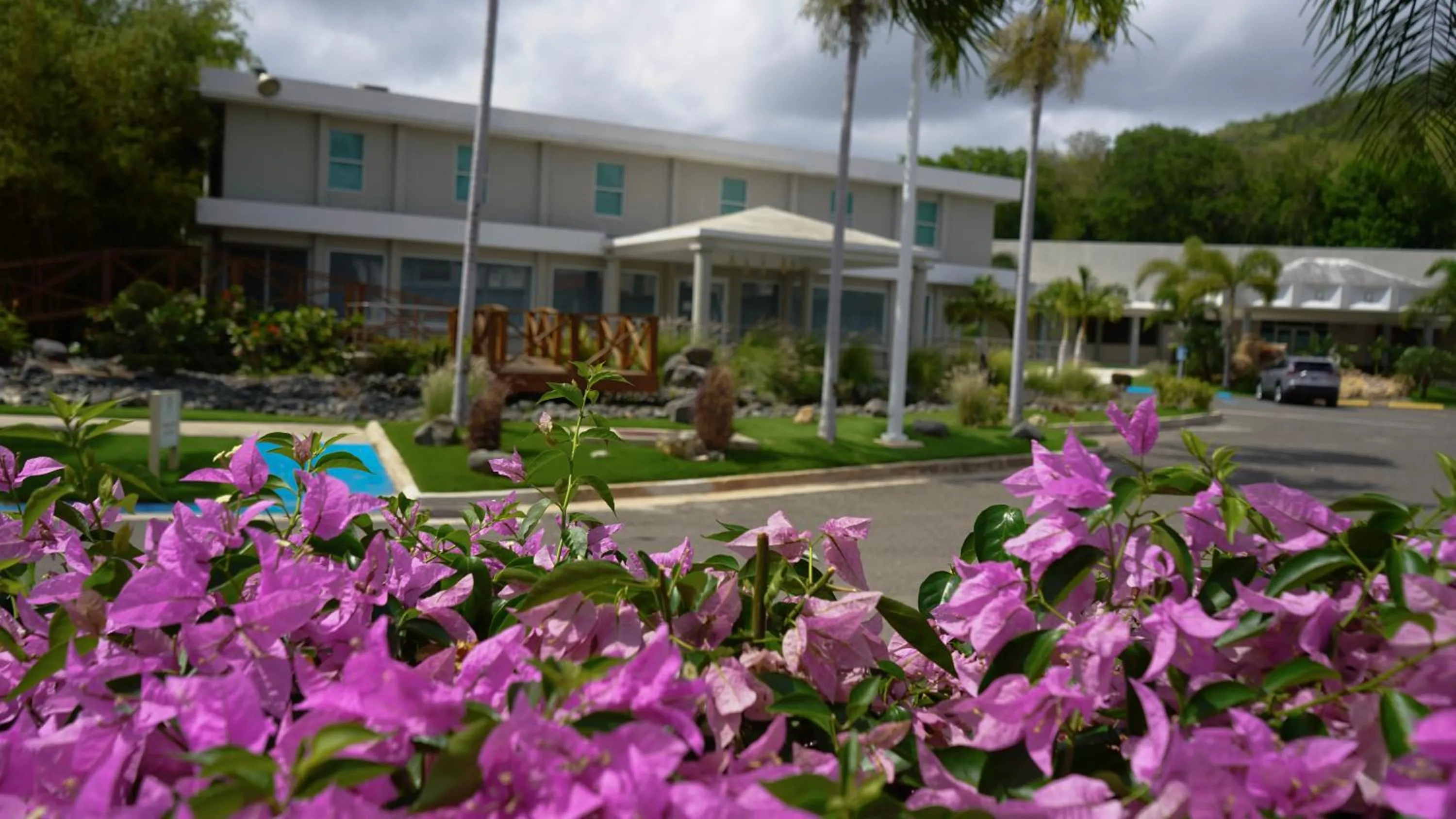 Garden in Costa Bahia Hotel, Convention Center and Casino