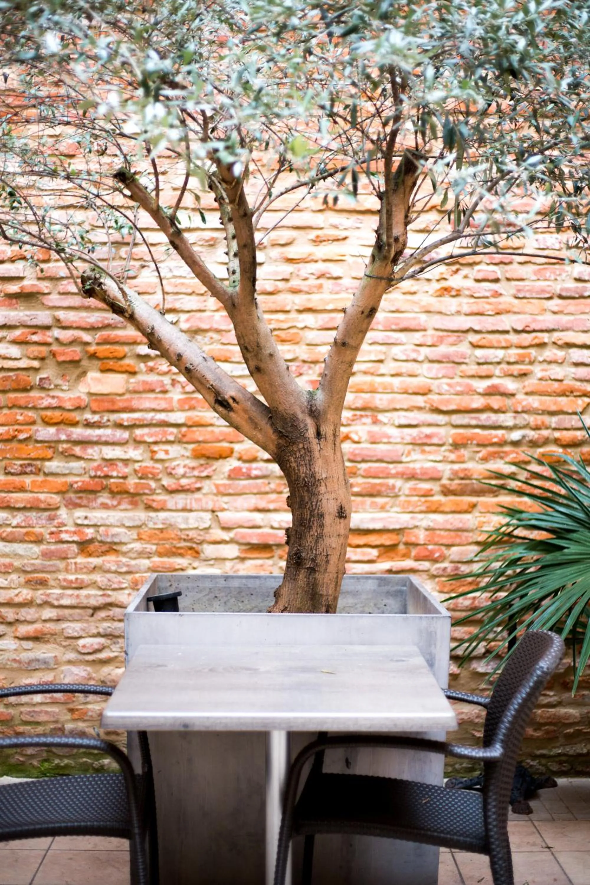 Patio in Grand Hôtel d'Orléans