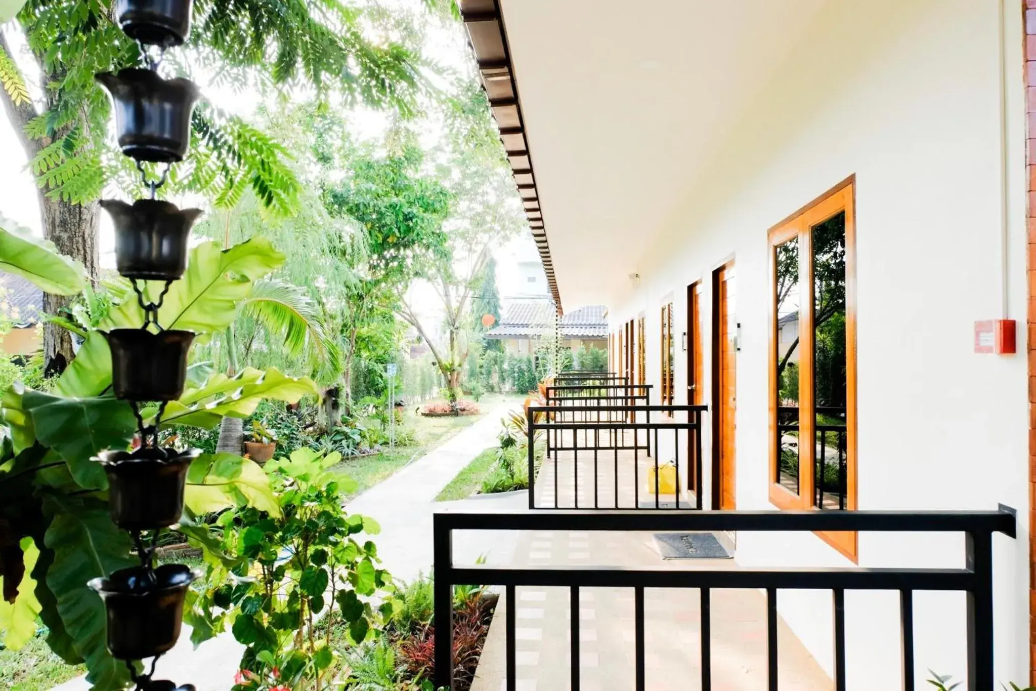 Balcony/Terrace in The Cozy Hotel Balcony/Terrace in The Cozy Hotel