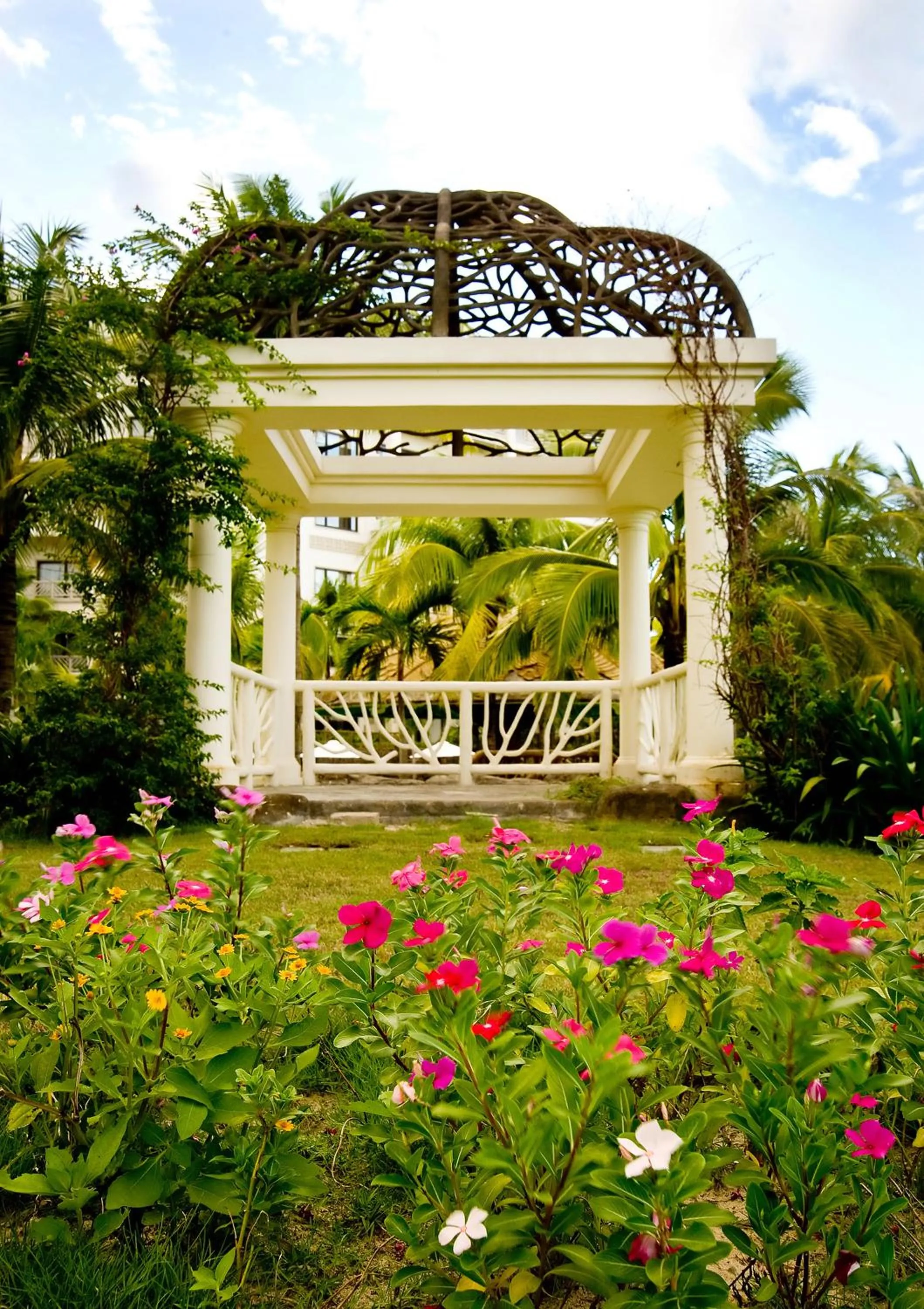 Day in Olalani Resort & Condotel