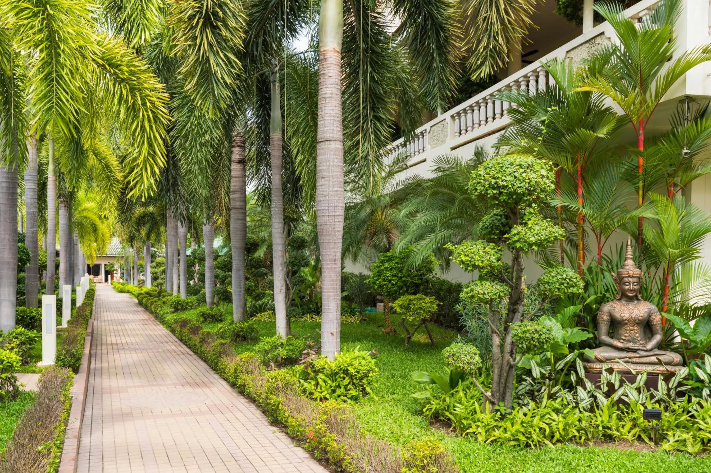 Garden in Thai Garden Resort