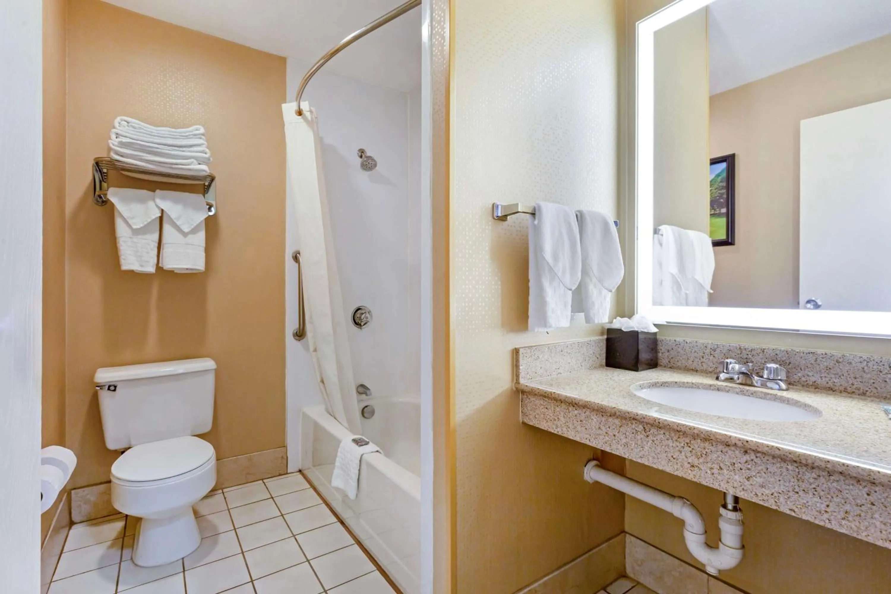 Bathroom in Best Western Rockland