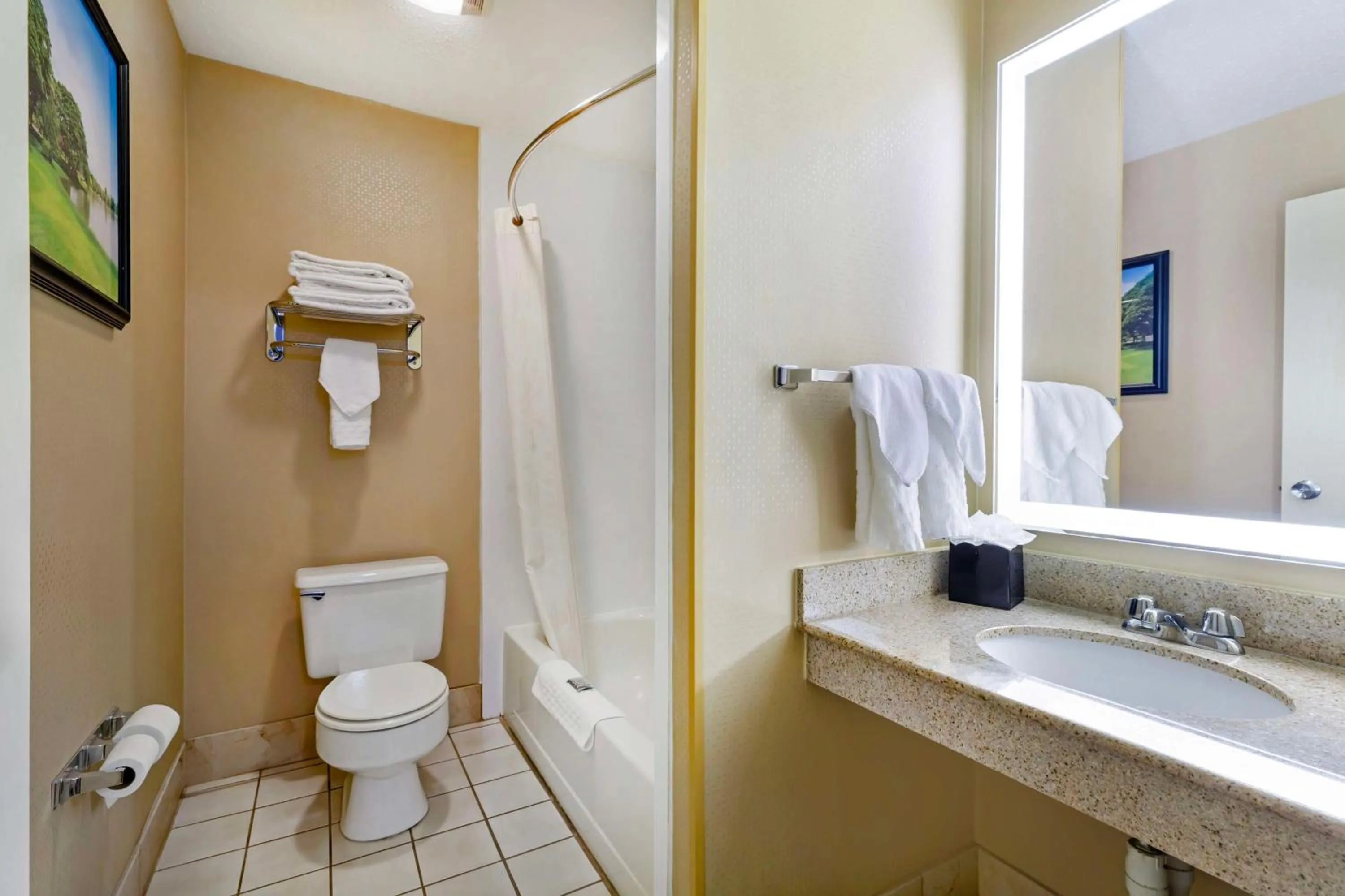 Bathroom in Best Western Rockland