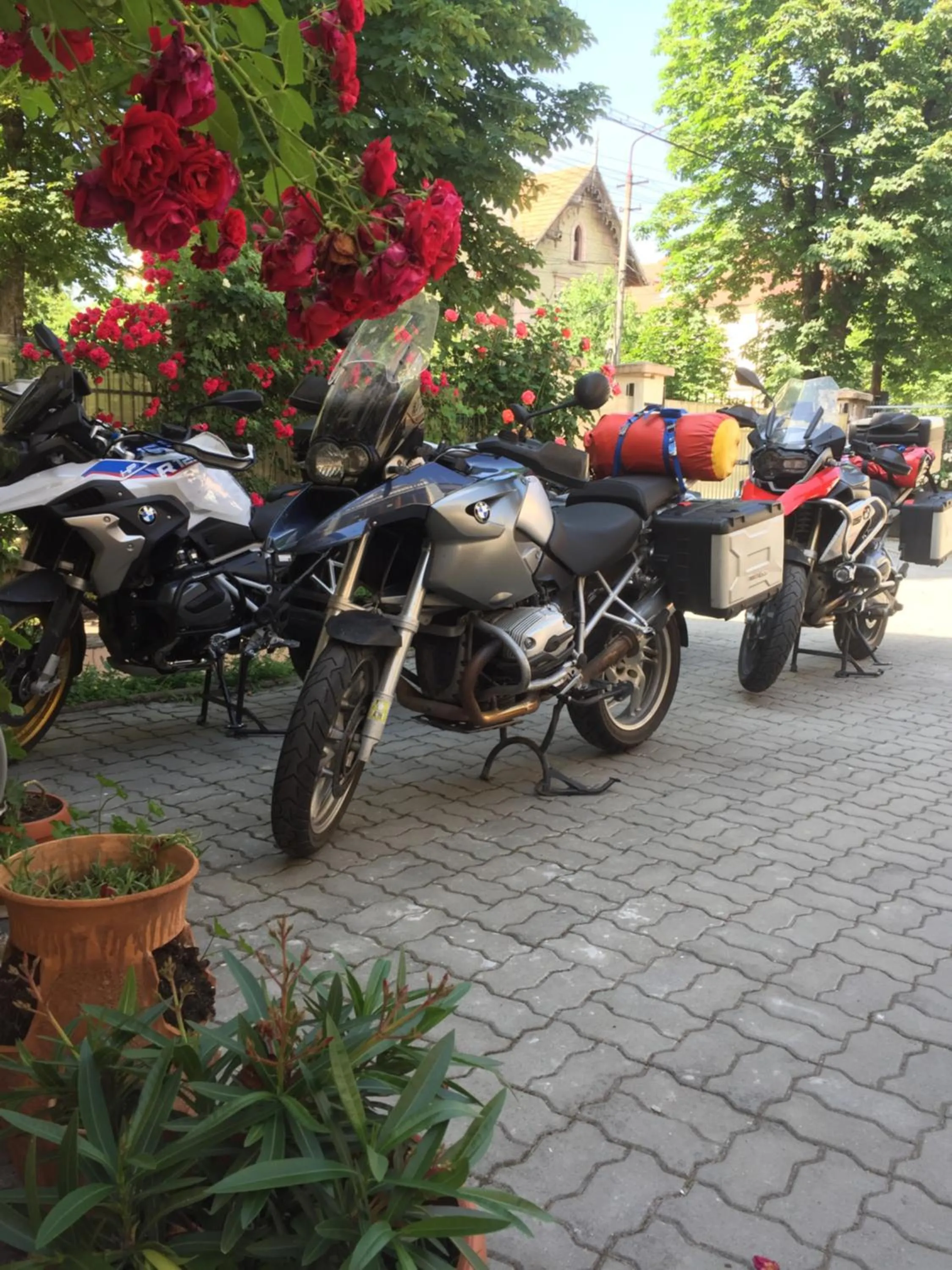 Spring in Pensiunea Buon Gusto Sibiu-motorcyle friendly,city center