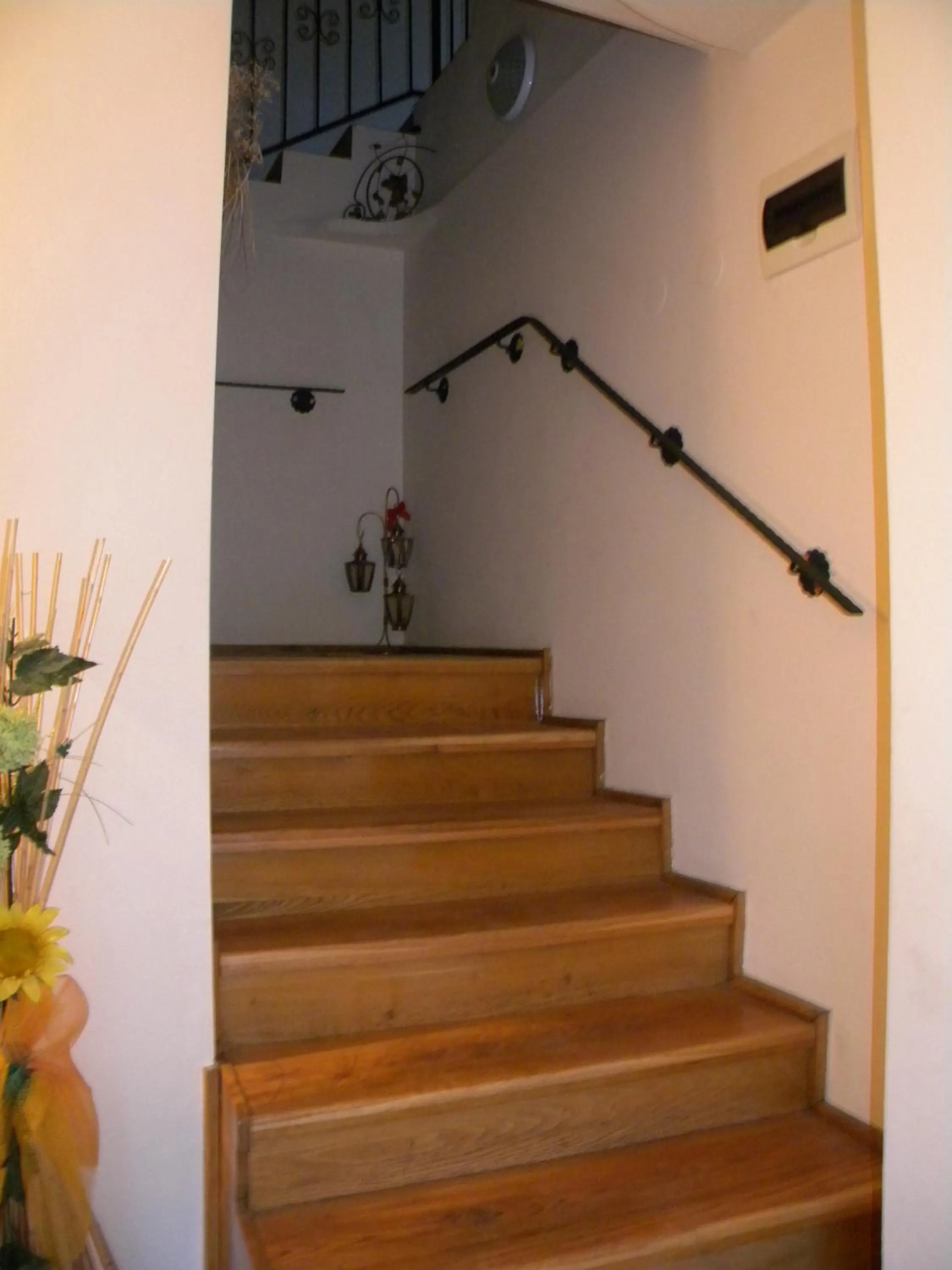 Other in Pensiunea Buon Gusto Sibiu-motorcyle friendly,city center