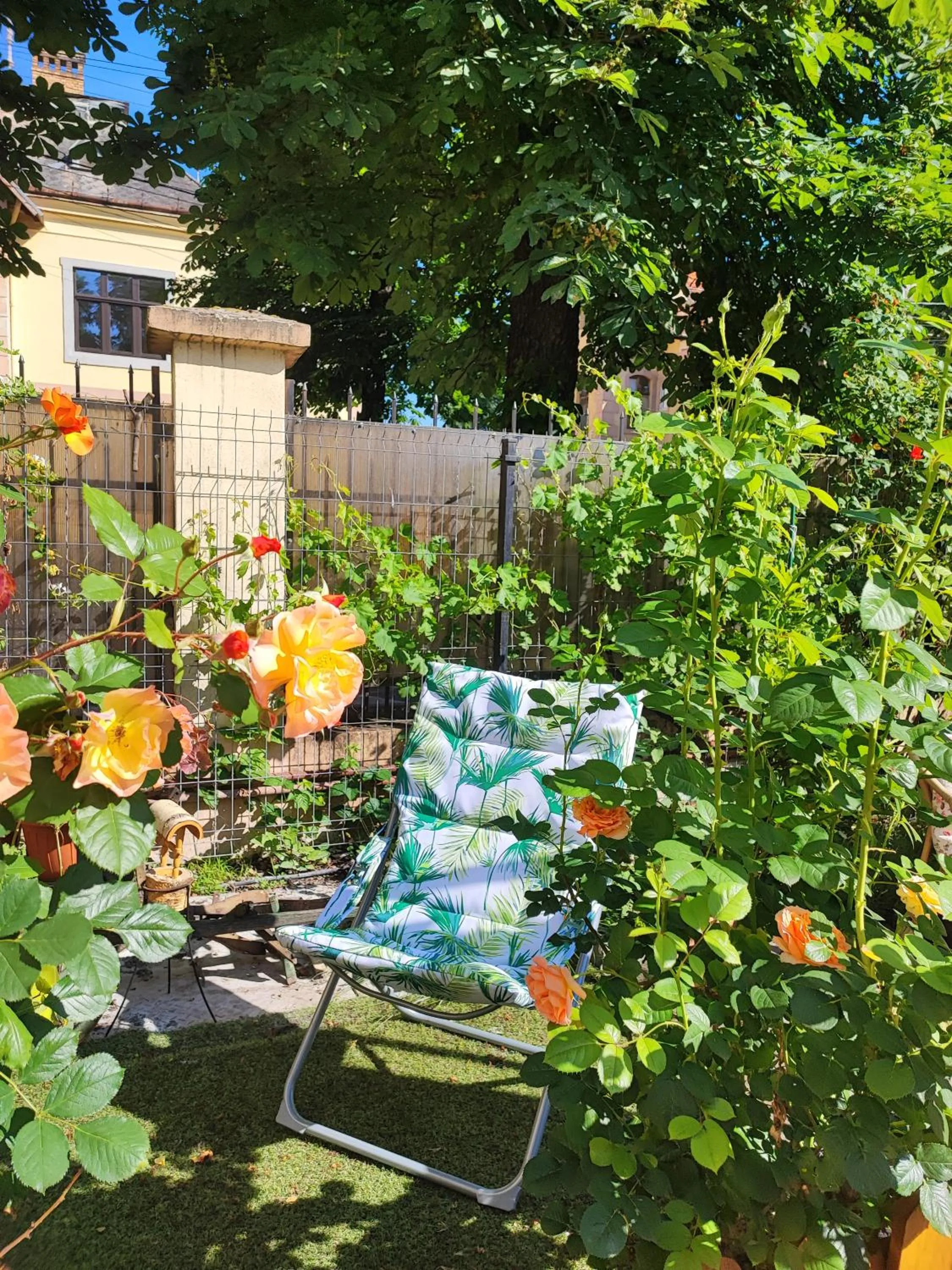 Spring in Pensiunea Buon Gusto Sibiu-motorcyle friendly,city center