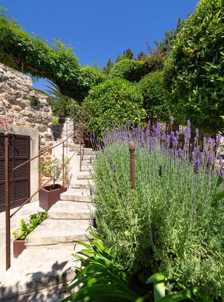 Garden in Hotel & Restaurant Jardi d'Artà