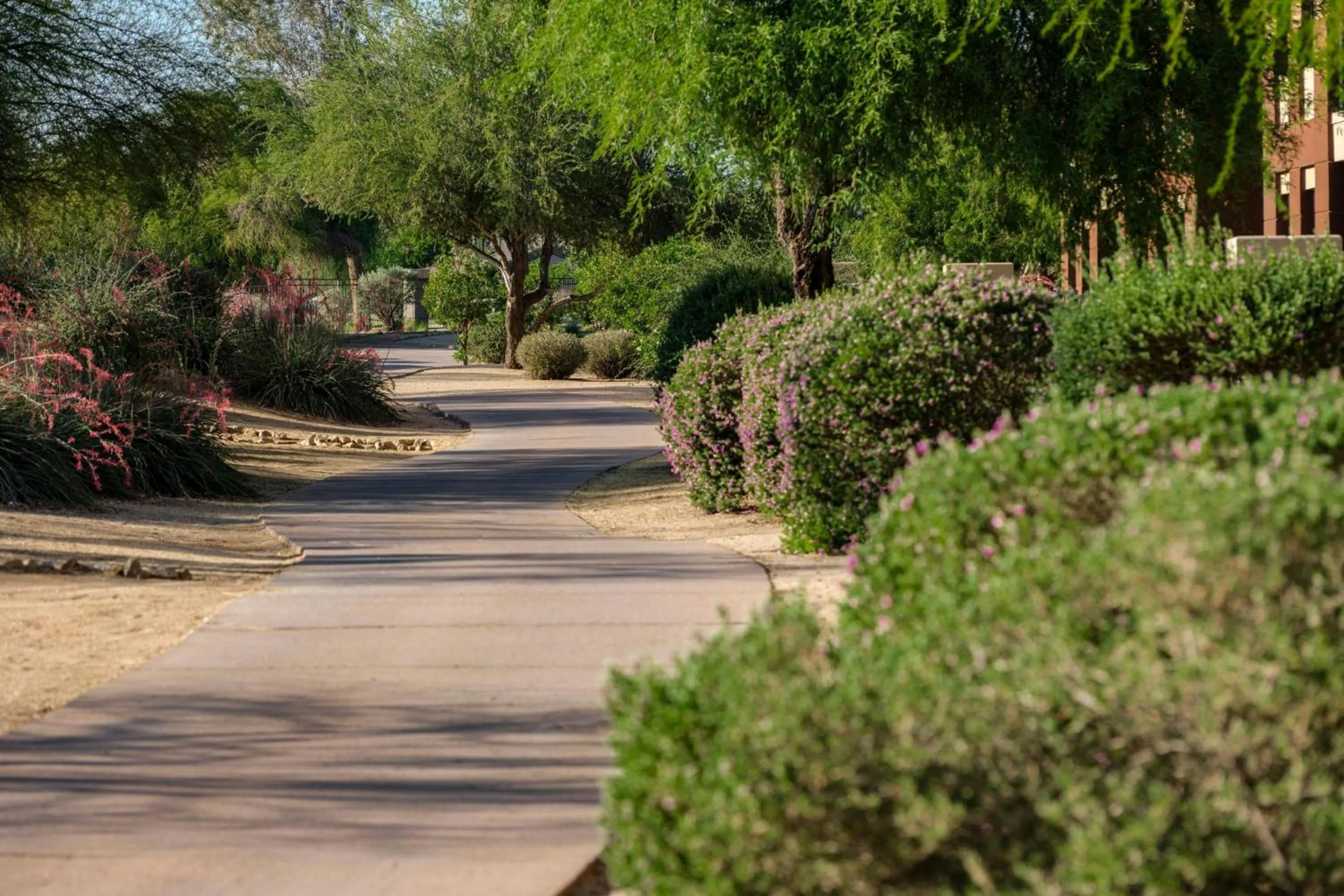 Other in The Westin Kierland Villas, Scottsdale