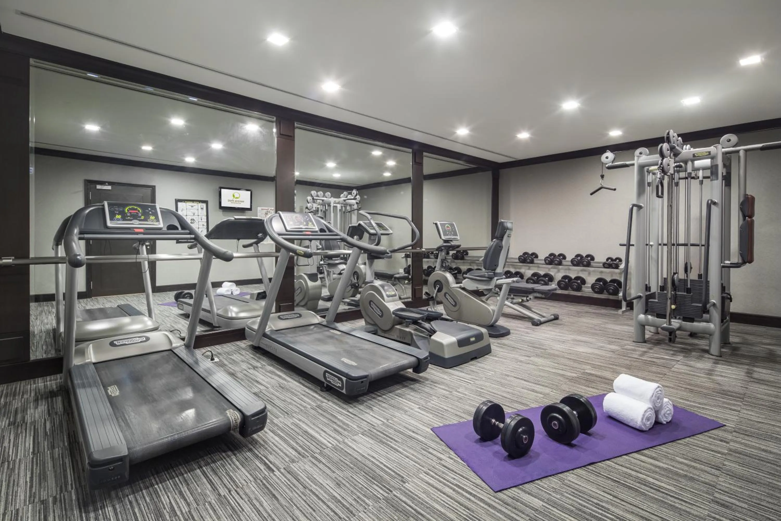 Fitness centre/facilities in Park Avenue Clemenceau