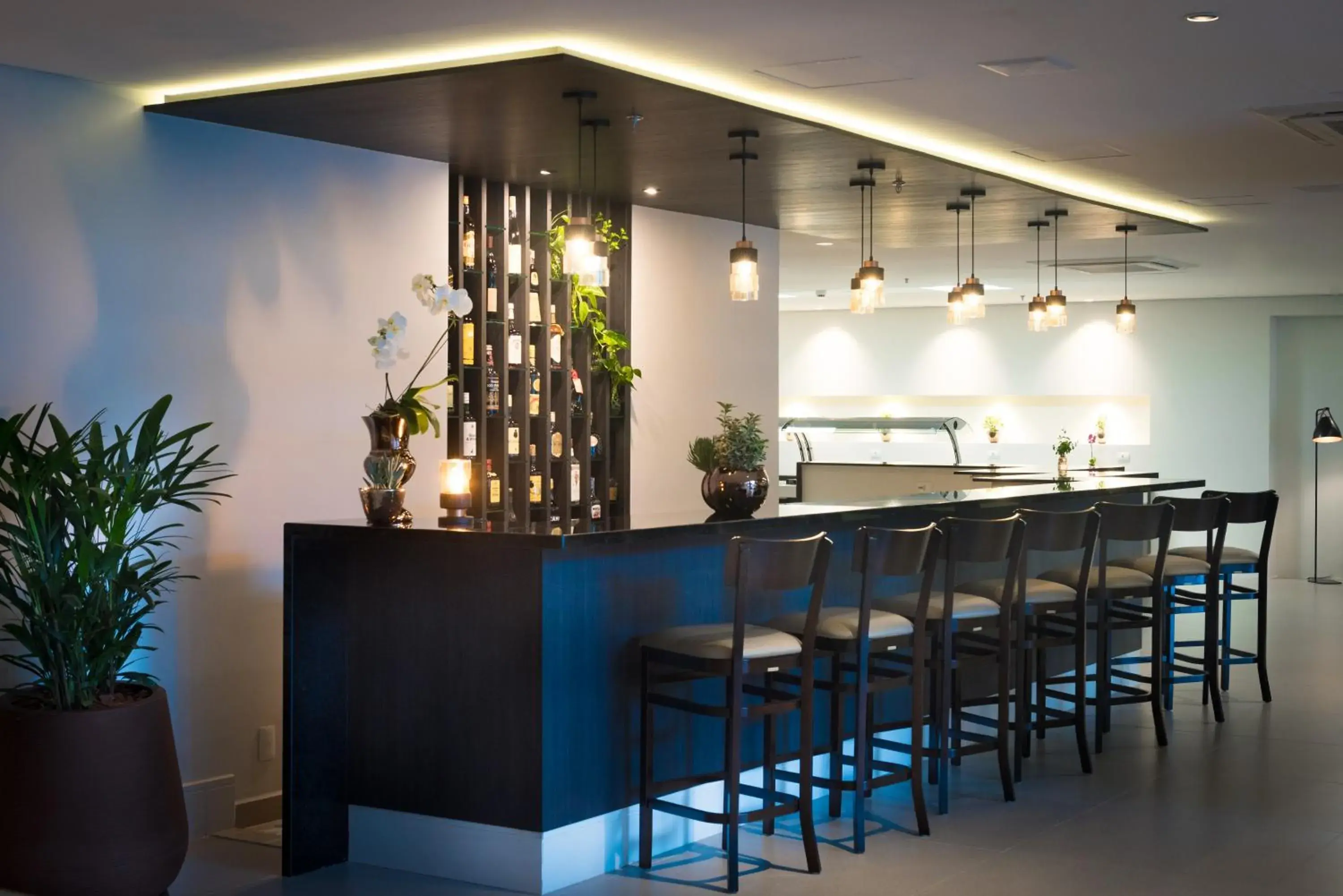 Lounge or bar in Intercity São Paulo Anhembi Lounge or bar in Intercity São Paulo Anhembi