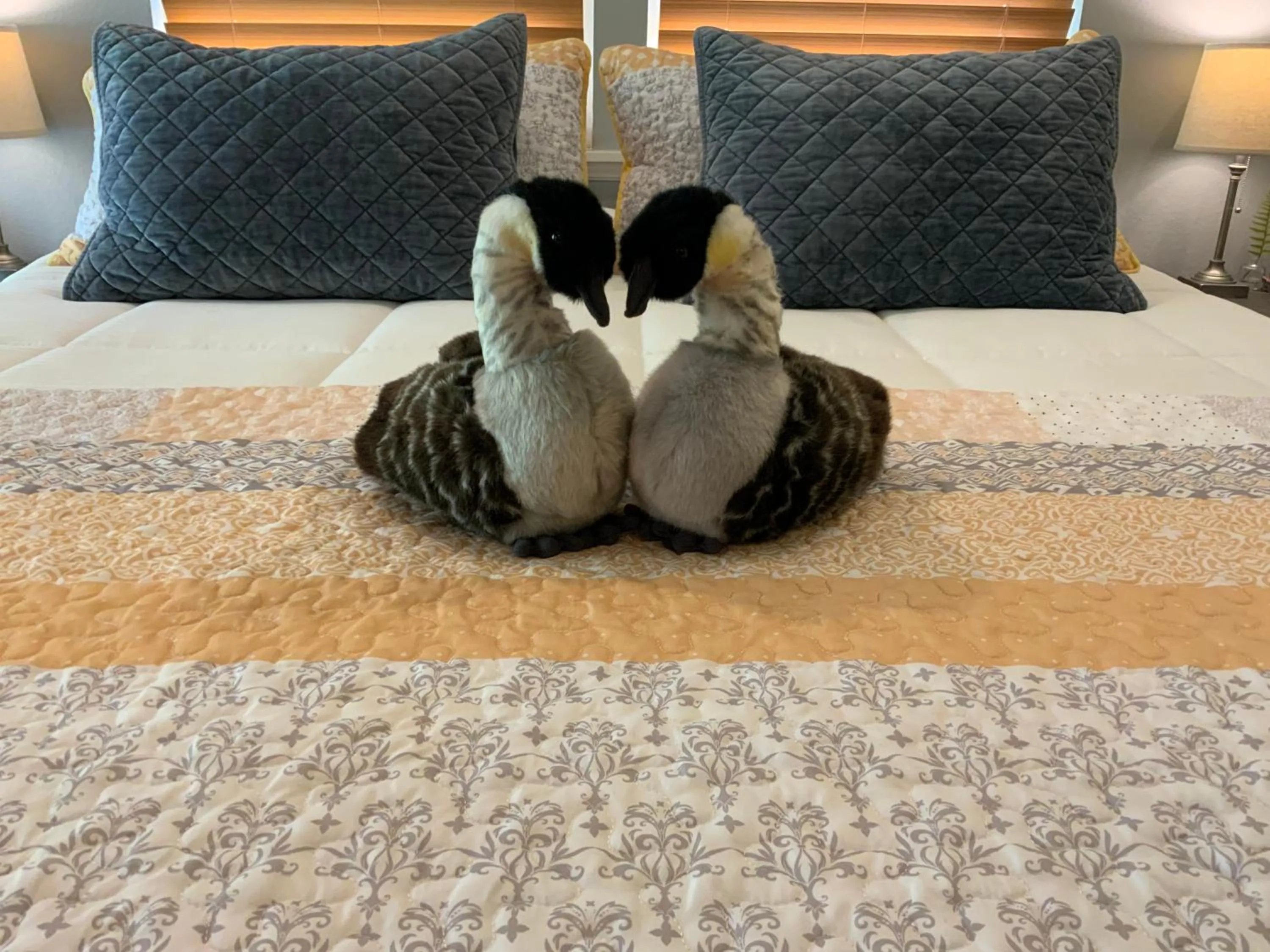 Bed in Kilauea House