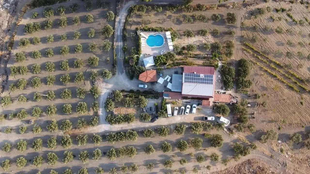 Bird's eye view in Terra Nostra