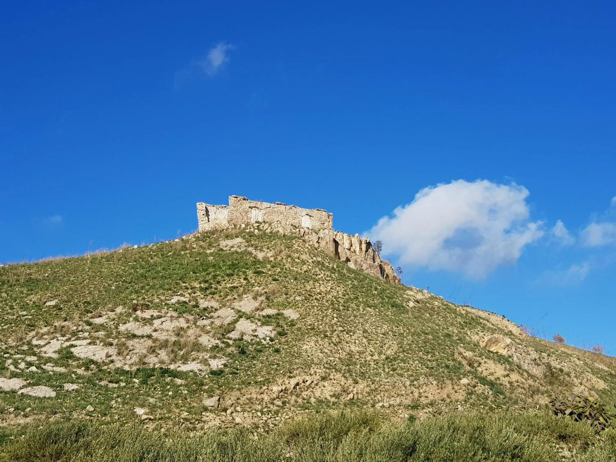 Terra Nostra