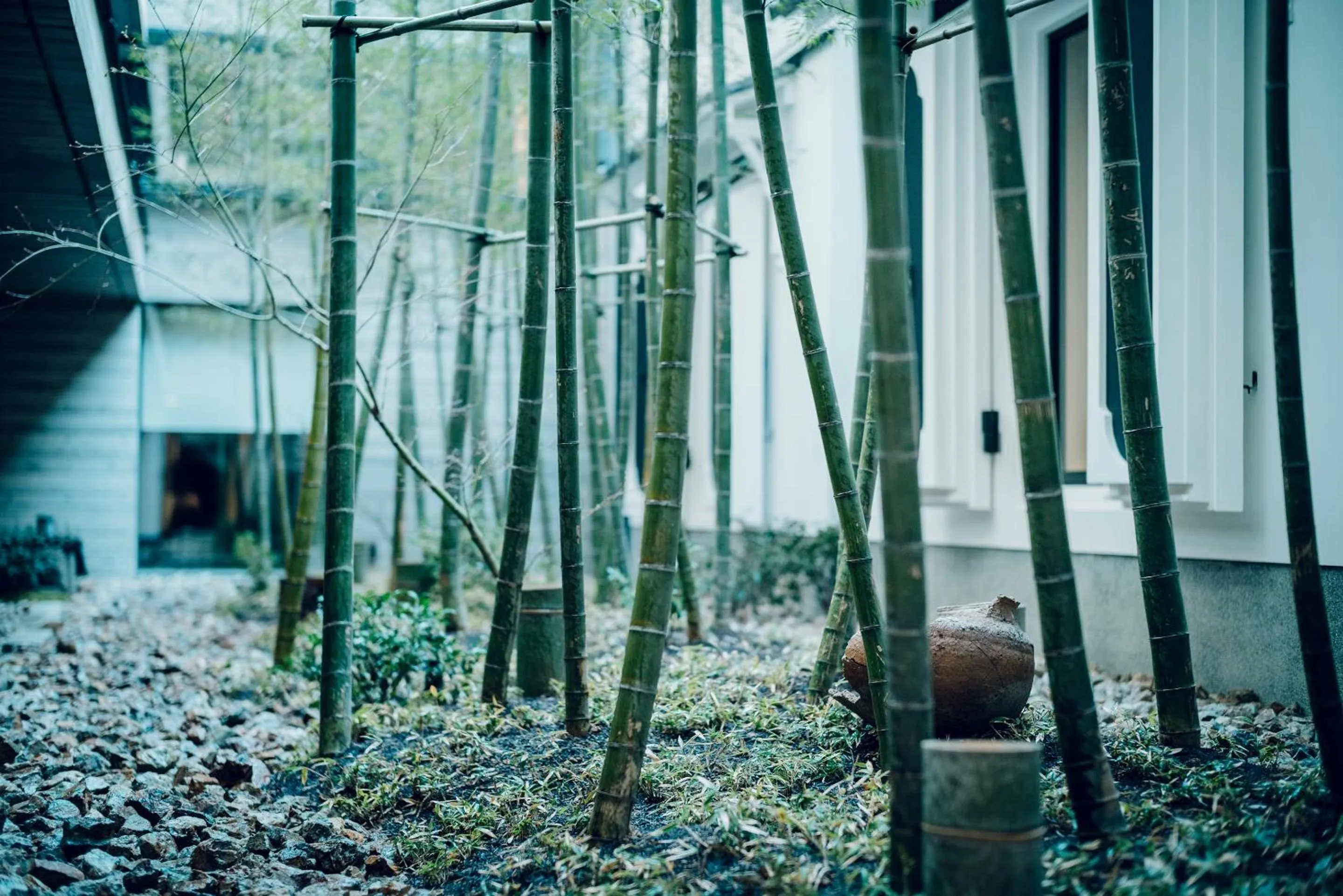 Garden in THE HIRAMATSU KYOTO