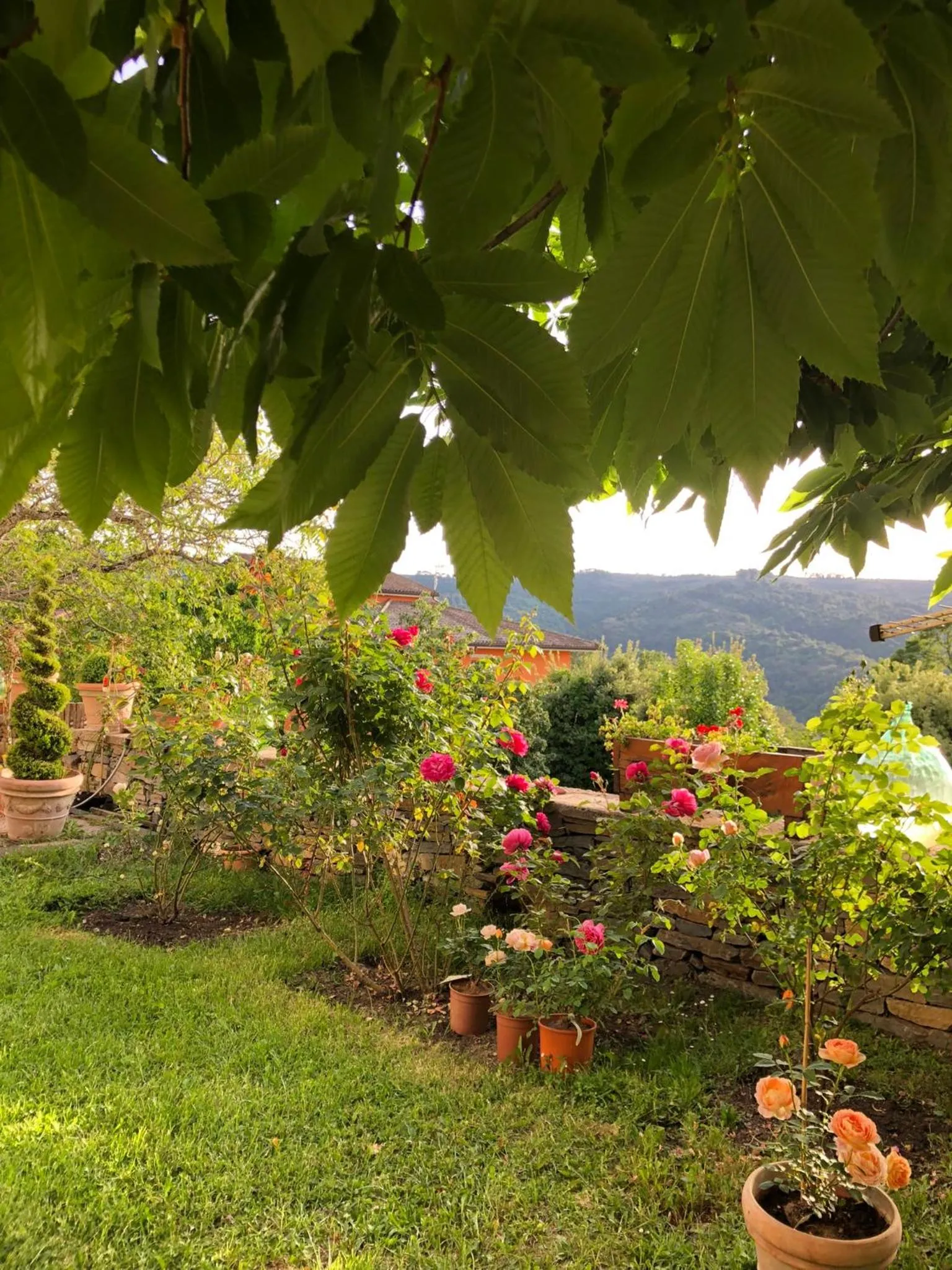 Spring in Hotel La Capannina