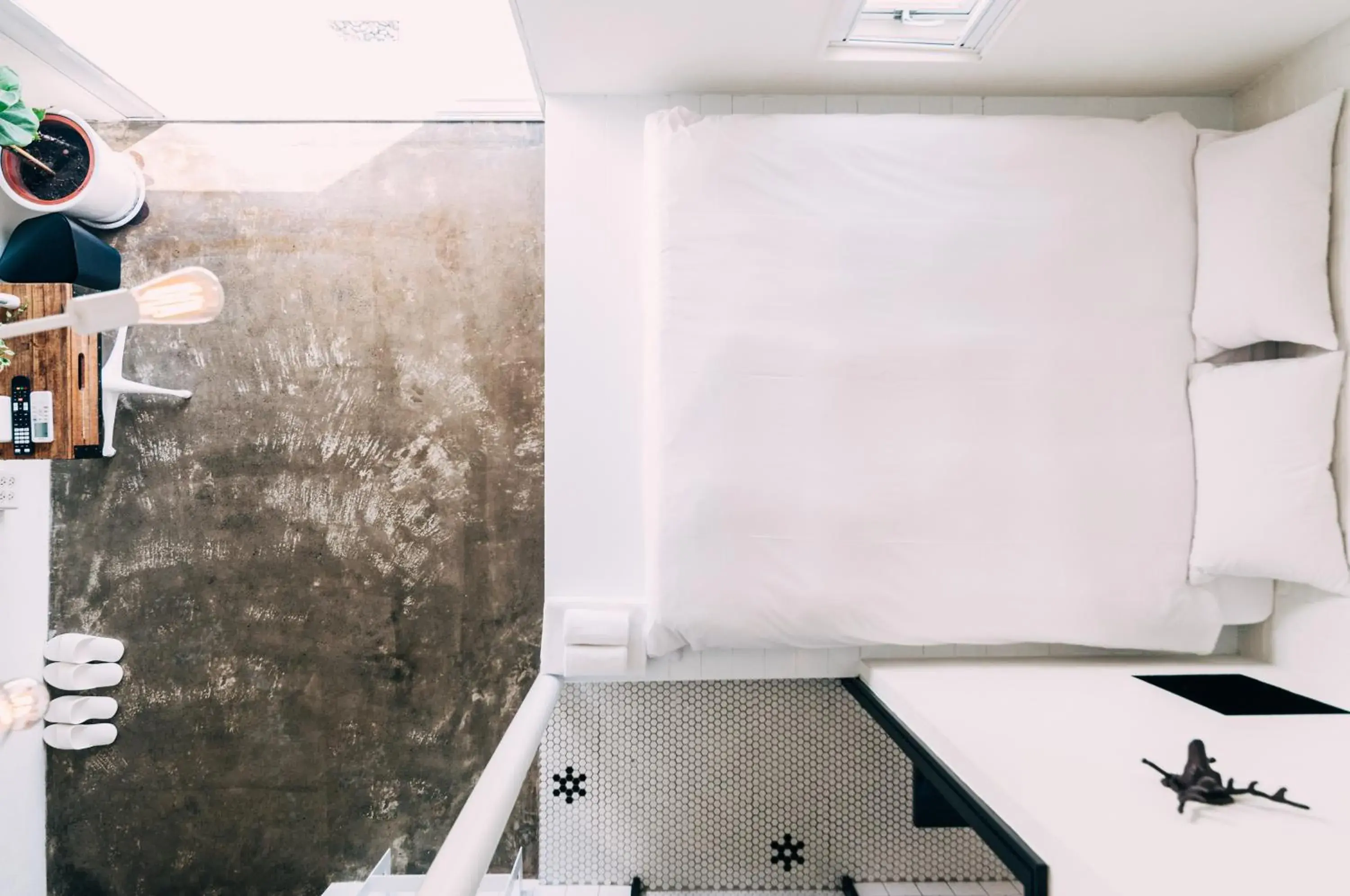 Photo of the whole room in Ocean Day By Day Photo of the whole room in Ocean Day By Day