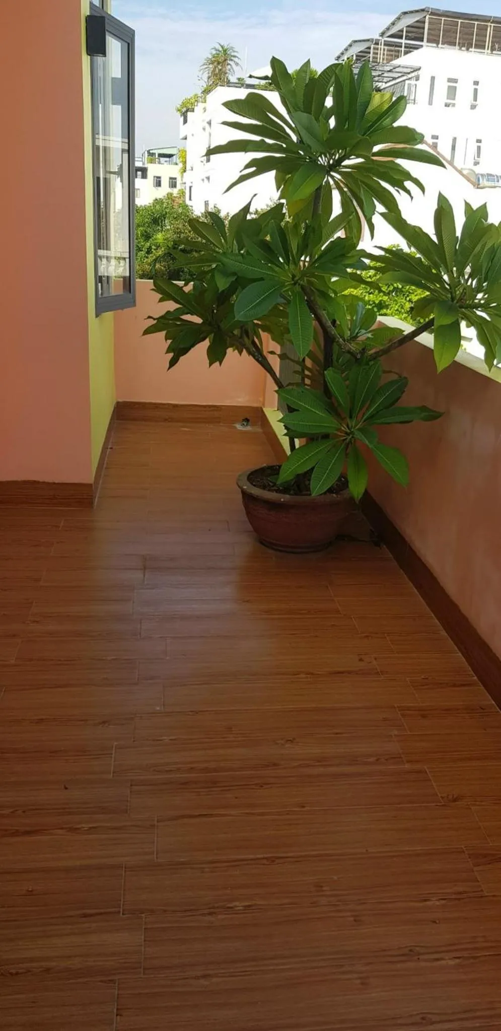 Property building in MANGO MANGO HOTEL & APARTMENT