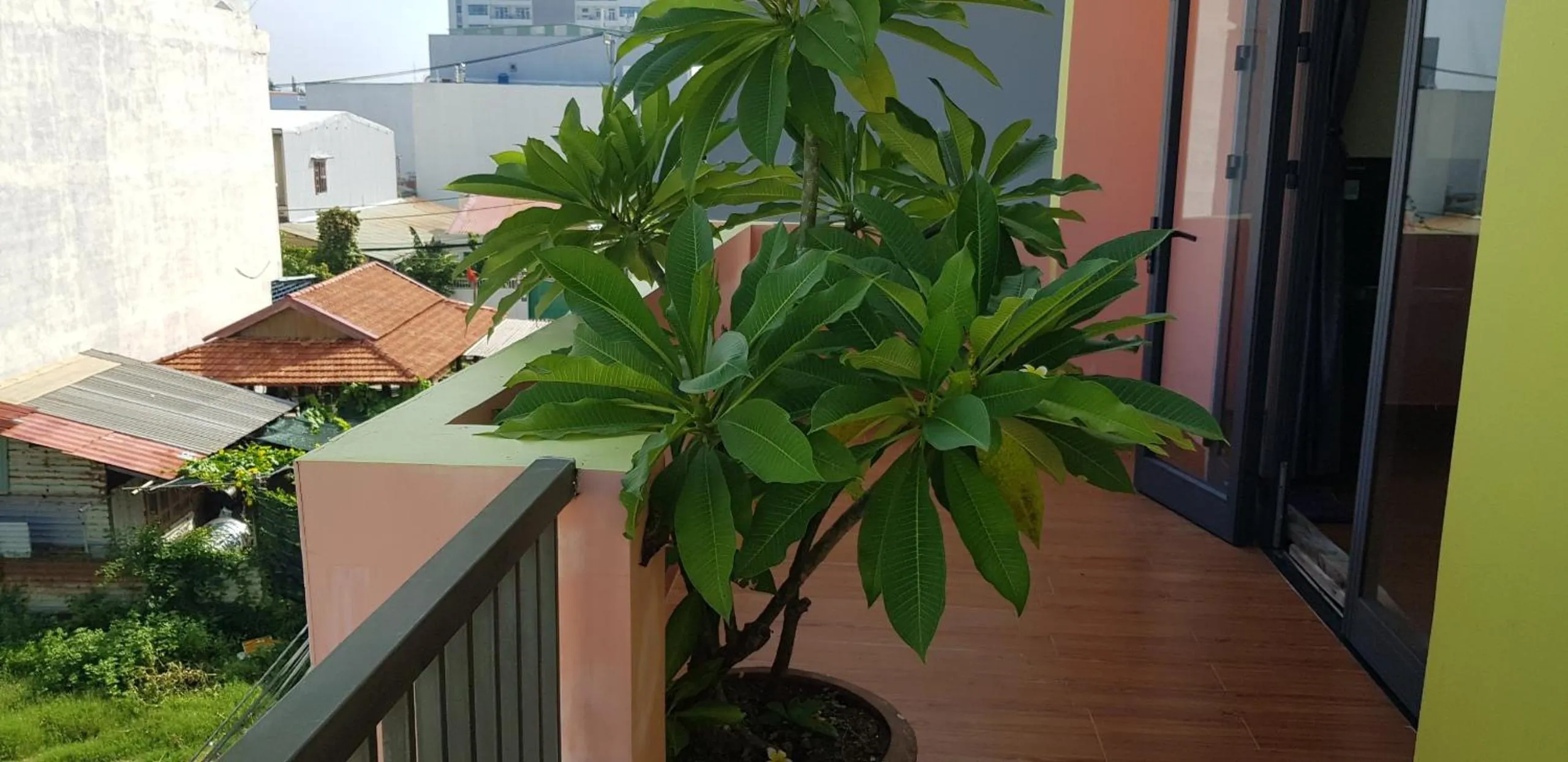 Property building in MANGO MANGO HOTEL & APARTMENT