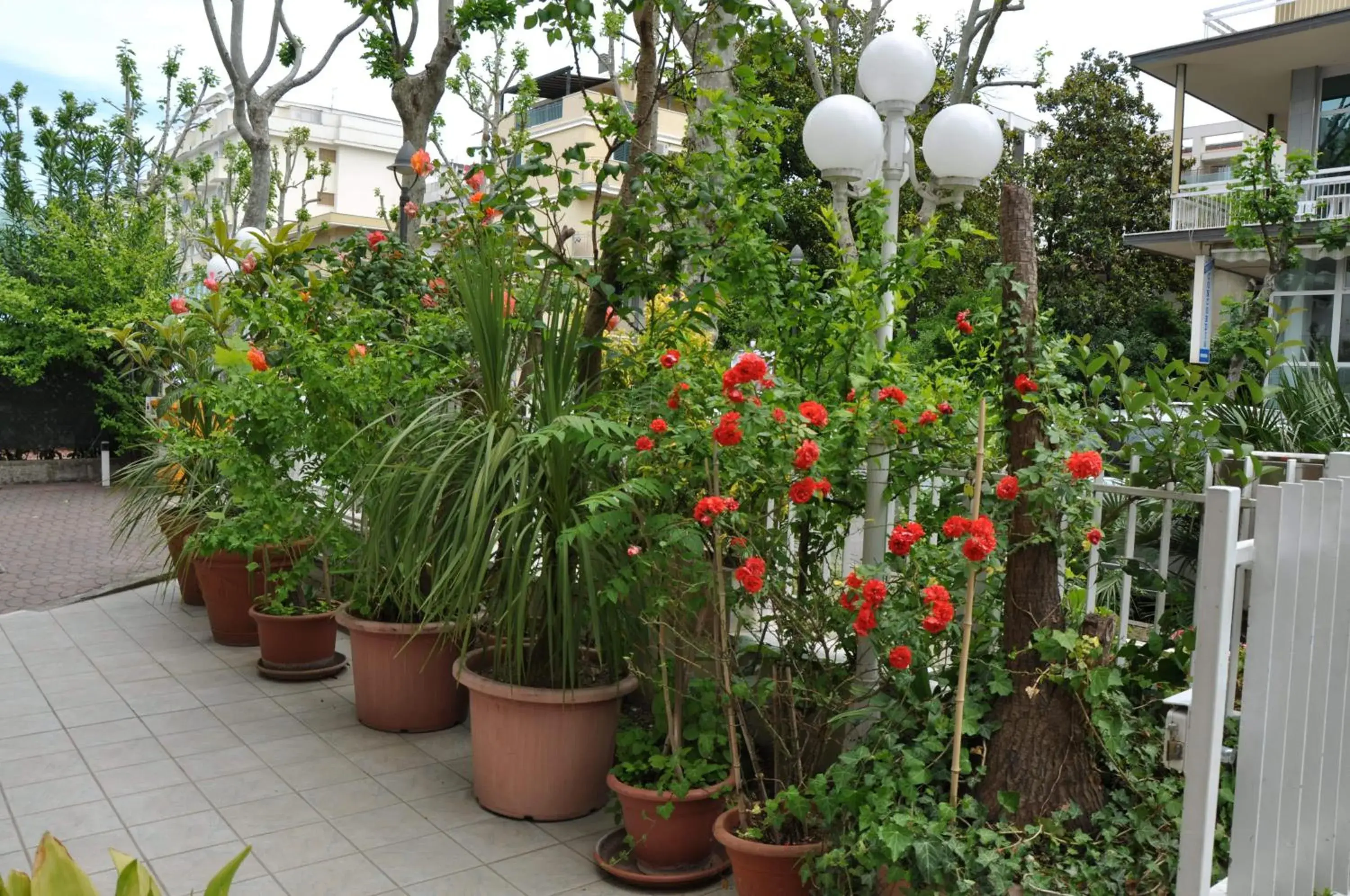 Patio in Hotel Arno Rimini