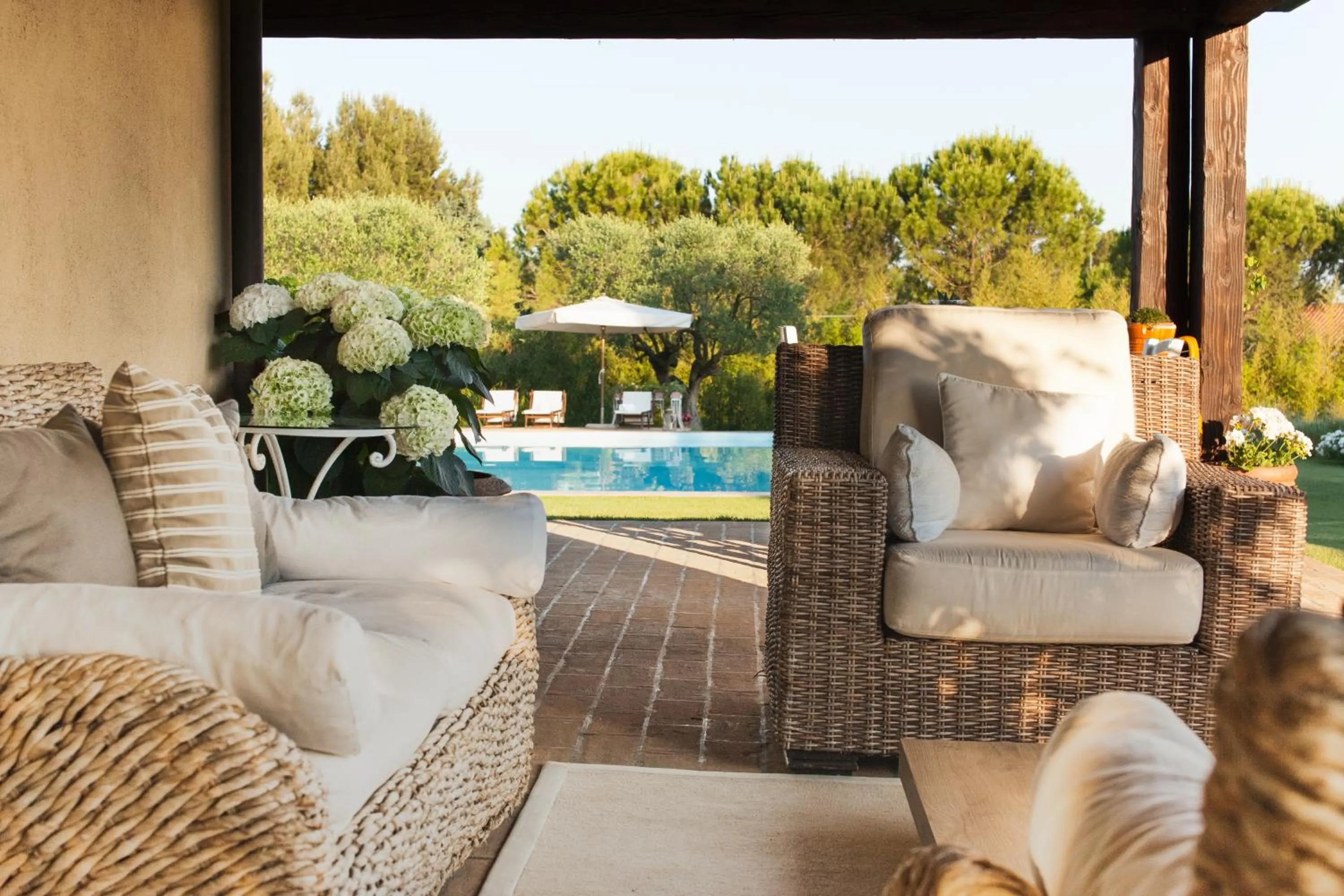 Patio in Casa Tentoni - Guest House