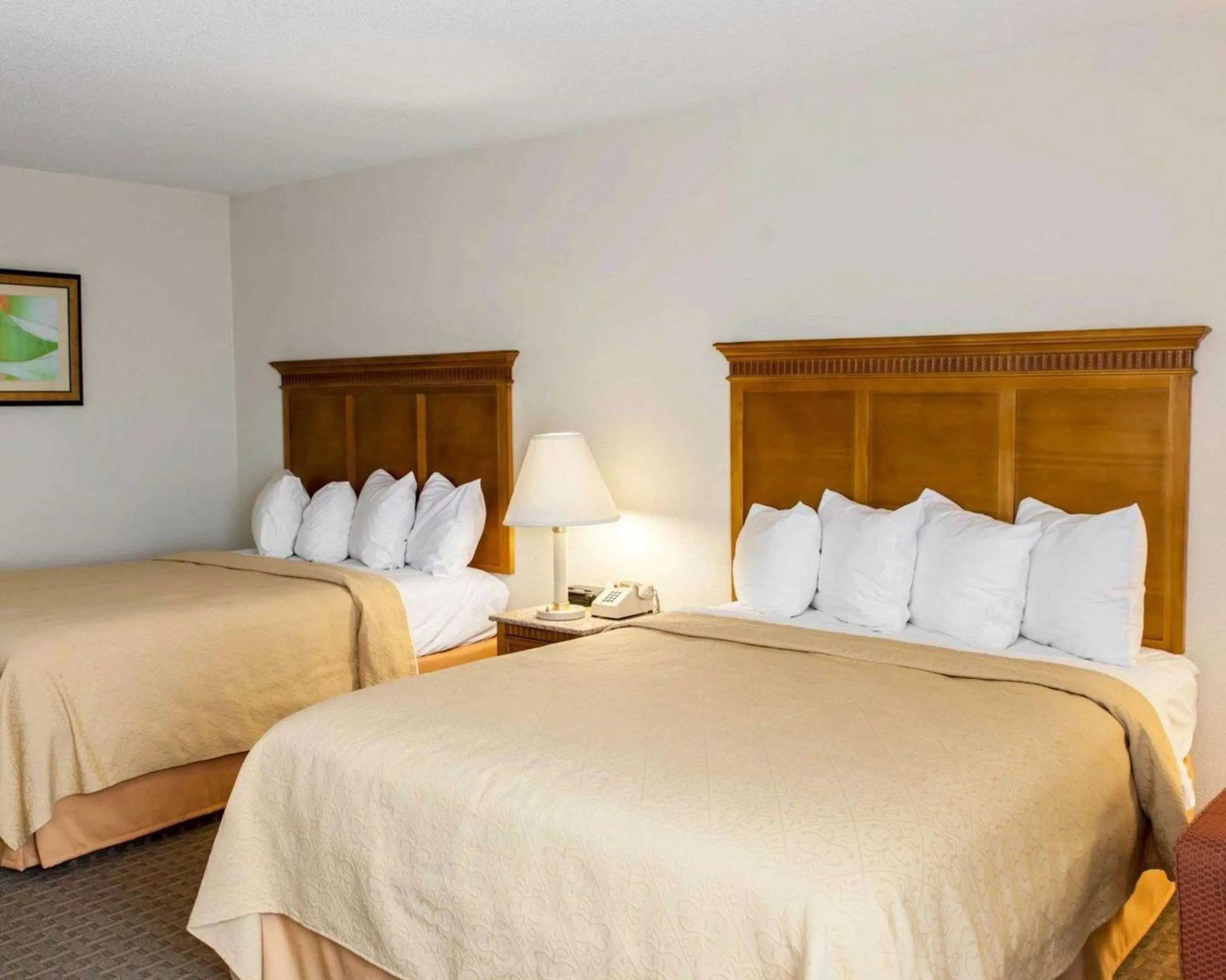 Photo of the whole room, Bed in Quality Inn and Suites Indianapolis