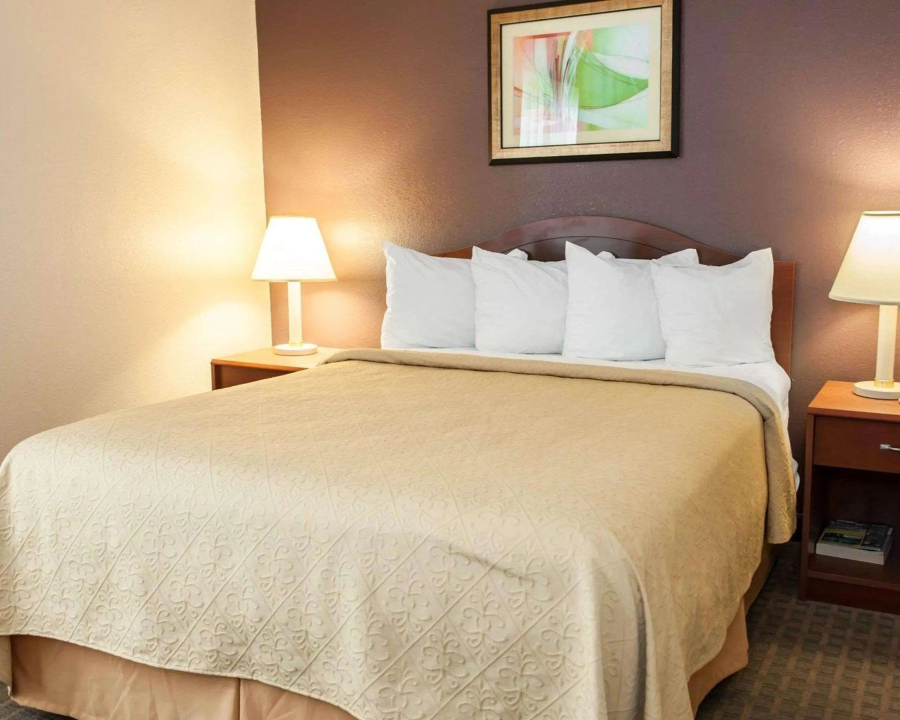 Photo of the whole room, Bed in Quality Inn and Suites Indianapolis