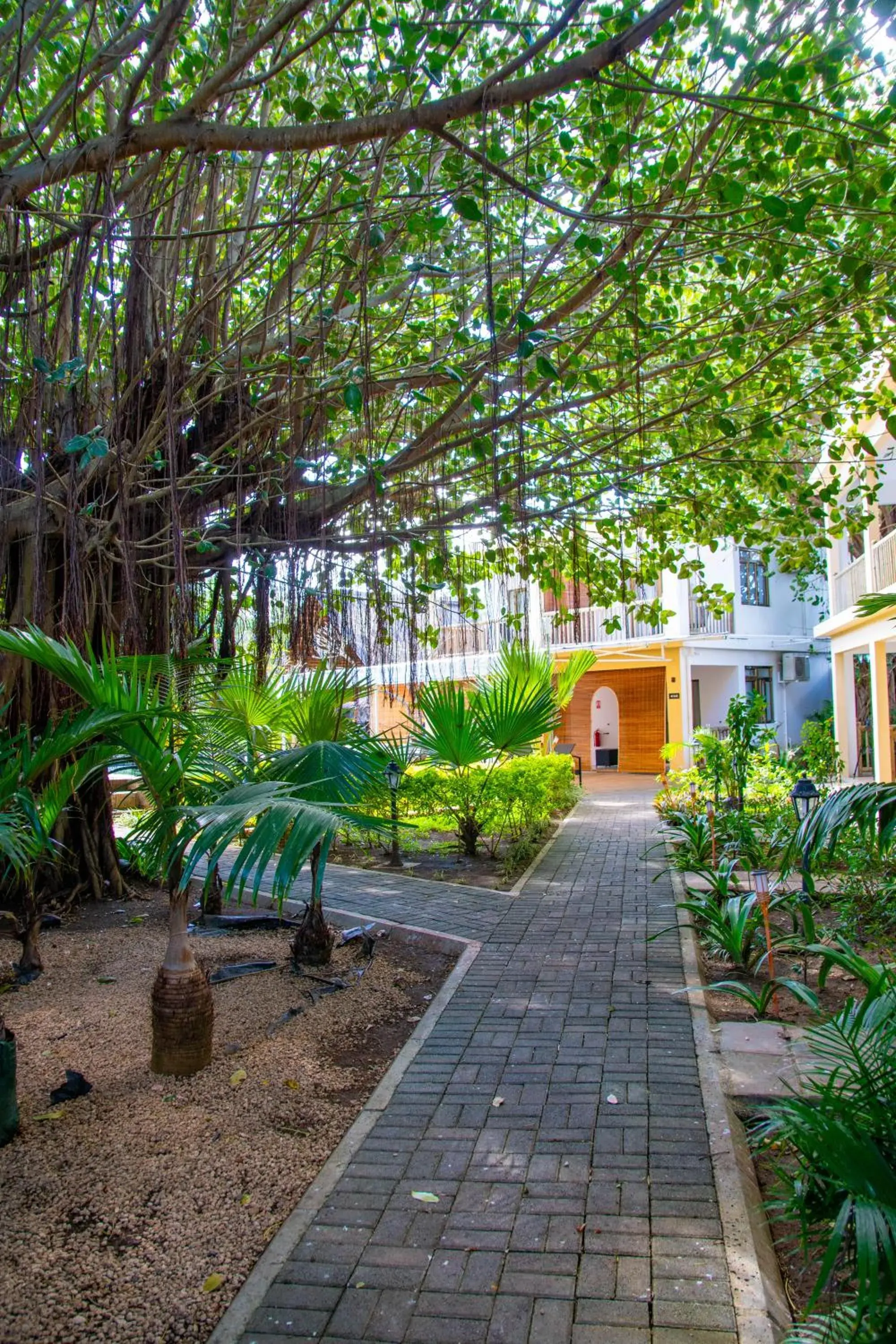 Facade/entrance in The Garden Lodge Pereybere - Piscine & Jardin Facade/entrance in The Garden Lodge Pereybere - Piscine & Jardin