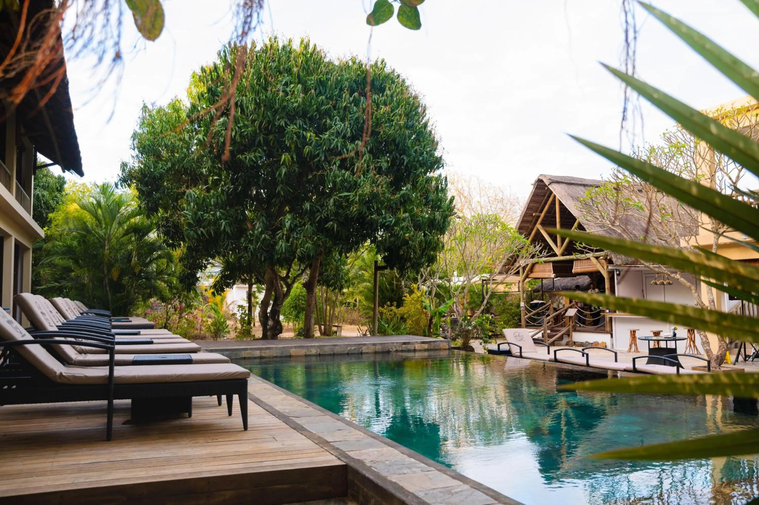 Swimming pool in The Garden Lodge Pereybere - Piscine & Jardin