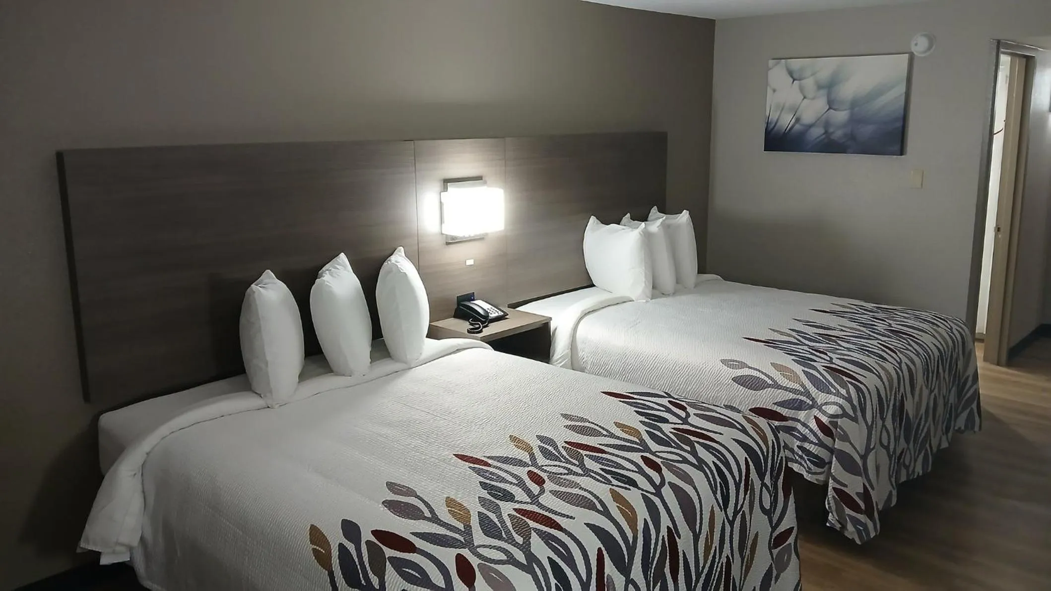 Photo of the whole room, Bed in Red Roof Inn Alexandria, LA