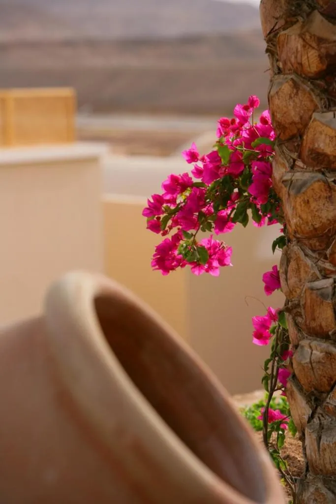 TUI MAGIC LIFE Kalawy