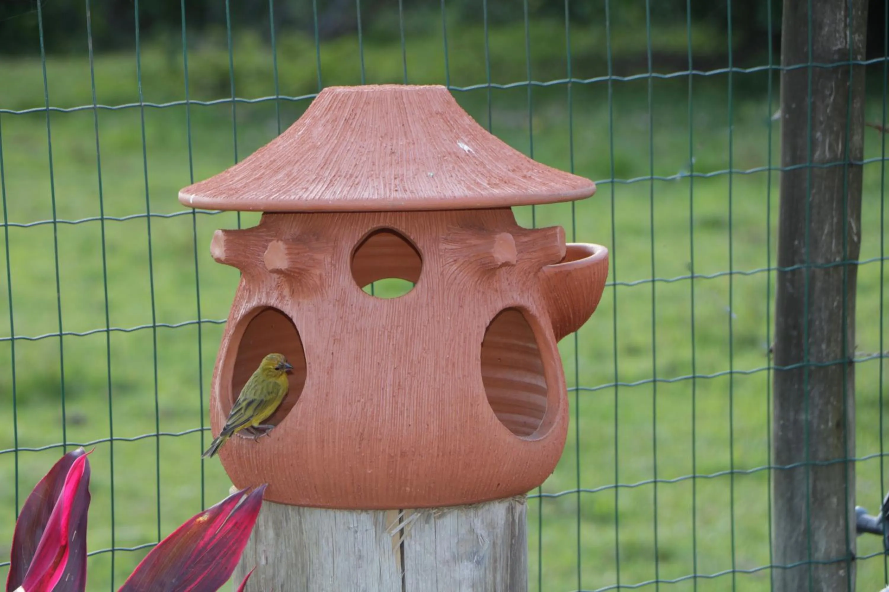 Day in Pousada Gauleses