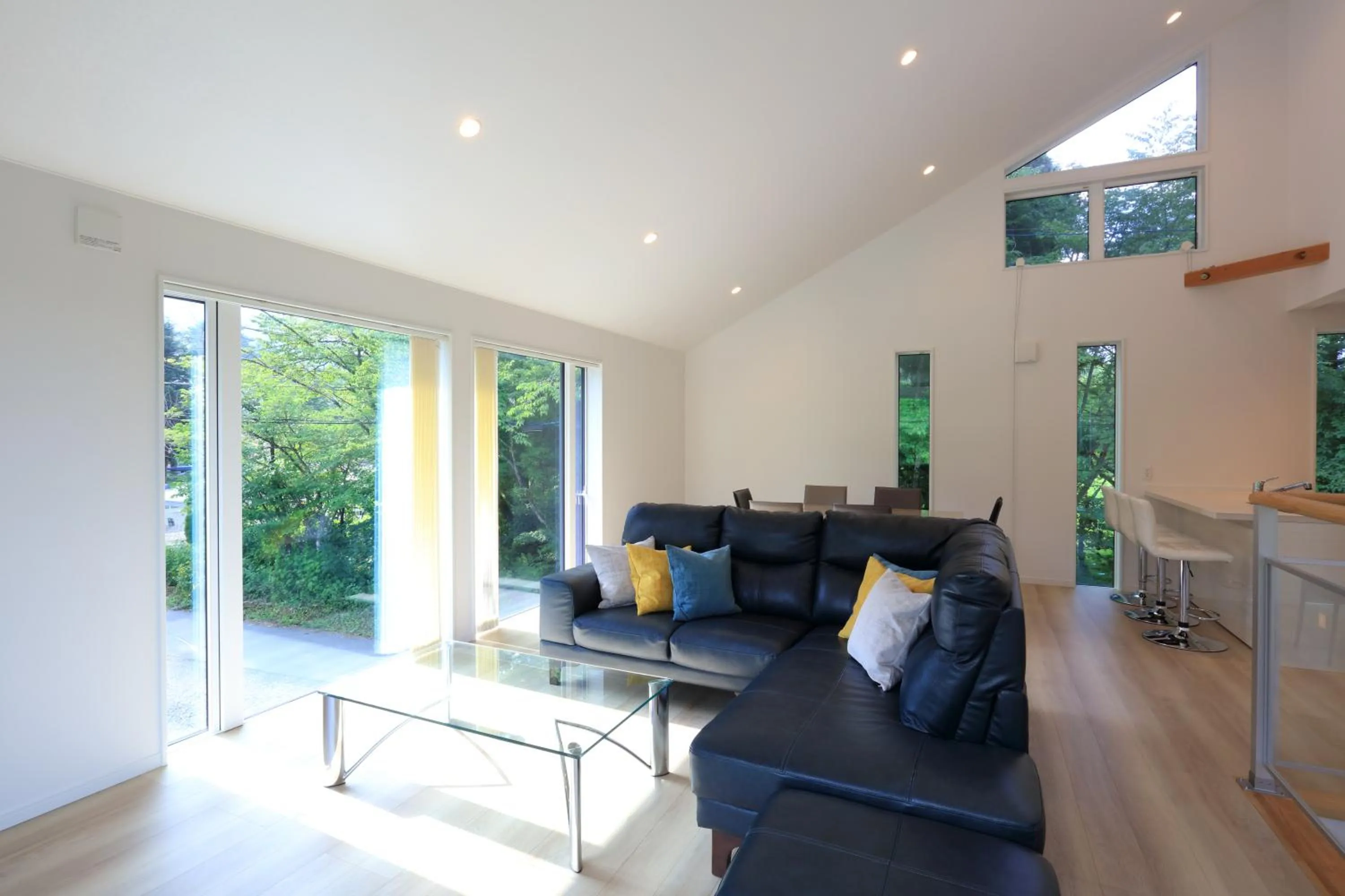 Living room in Hakuba Hokujo