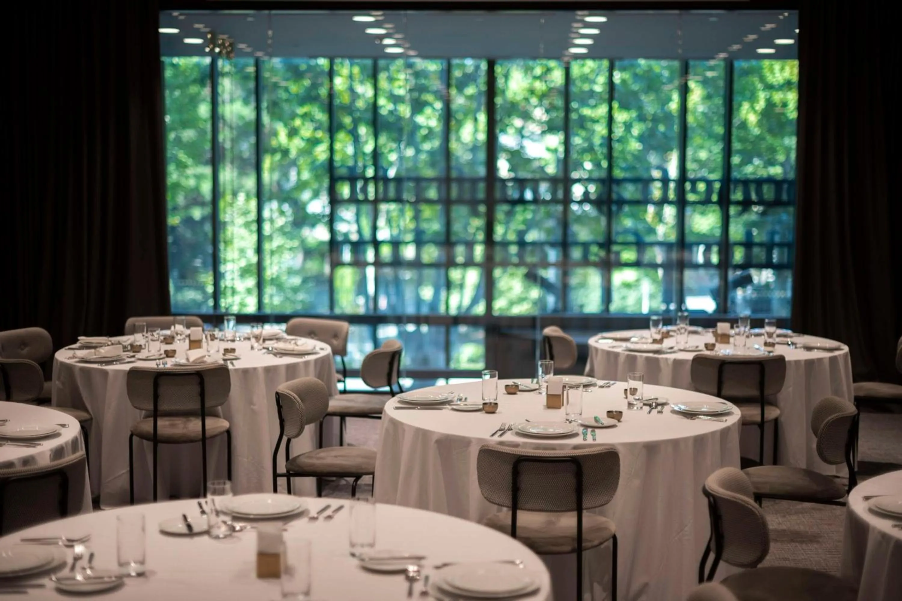 Meeting/conference room in Hilton Garden Inn Tbilisi Chavchavadze